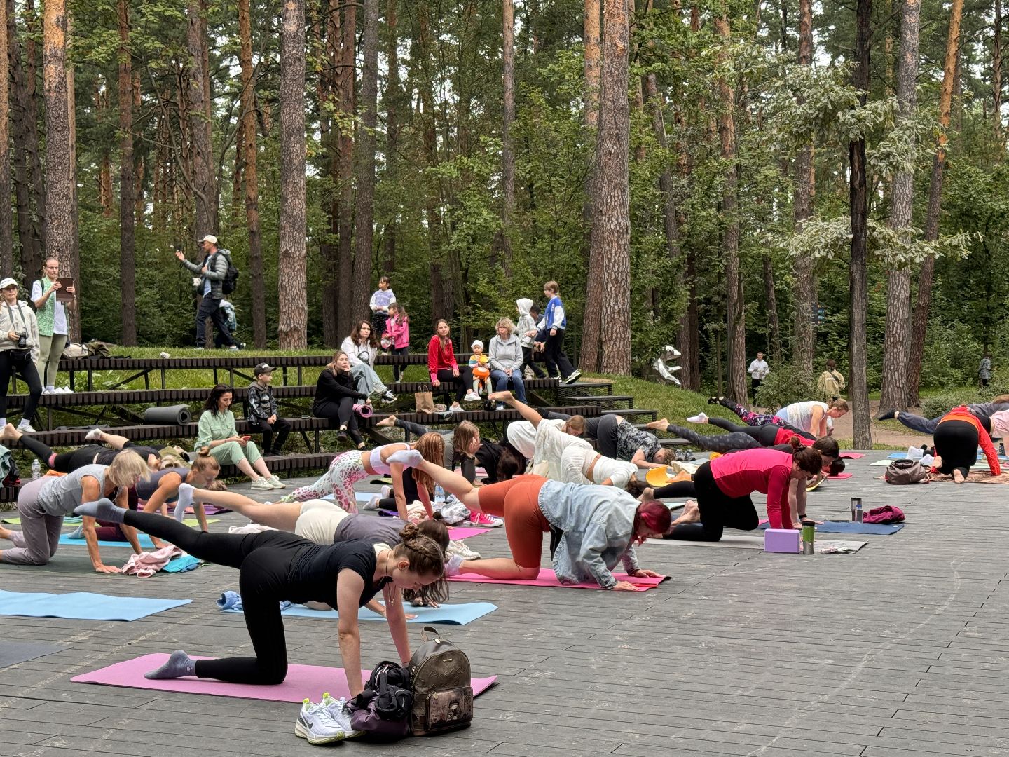 Фестиваль йоги, Парк Раздолье, Гвоздестояние,