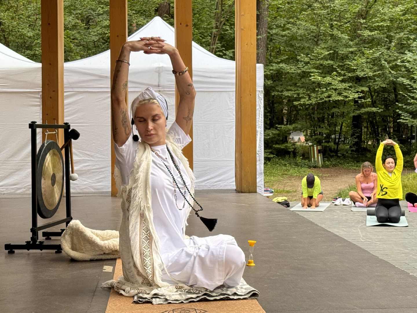 Фестиваль йоги, Парк Раздолье, Гвоздестояние,