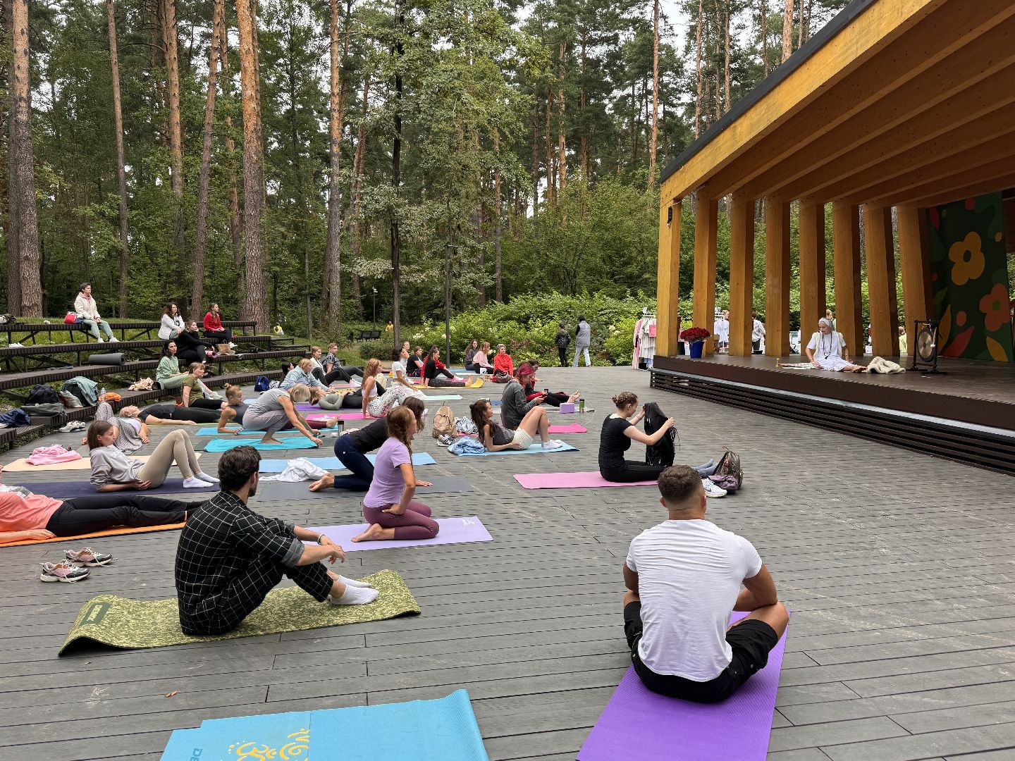 Фестиваль йоги, Парк Раздолье, Гвоздестояние,