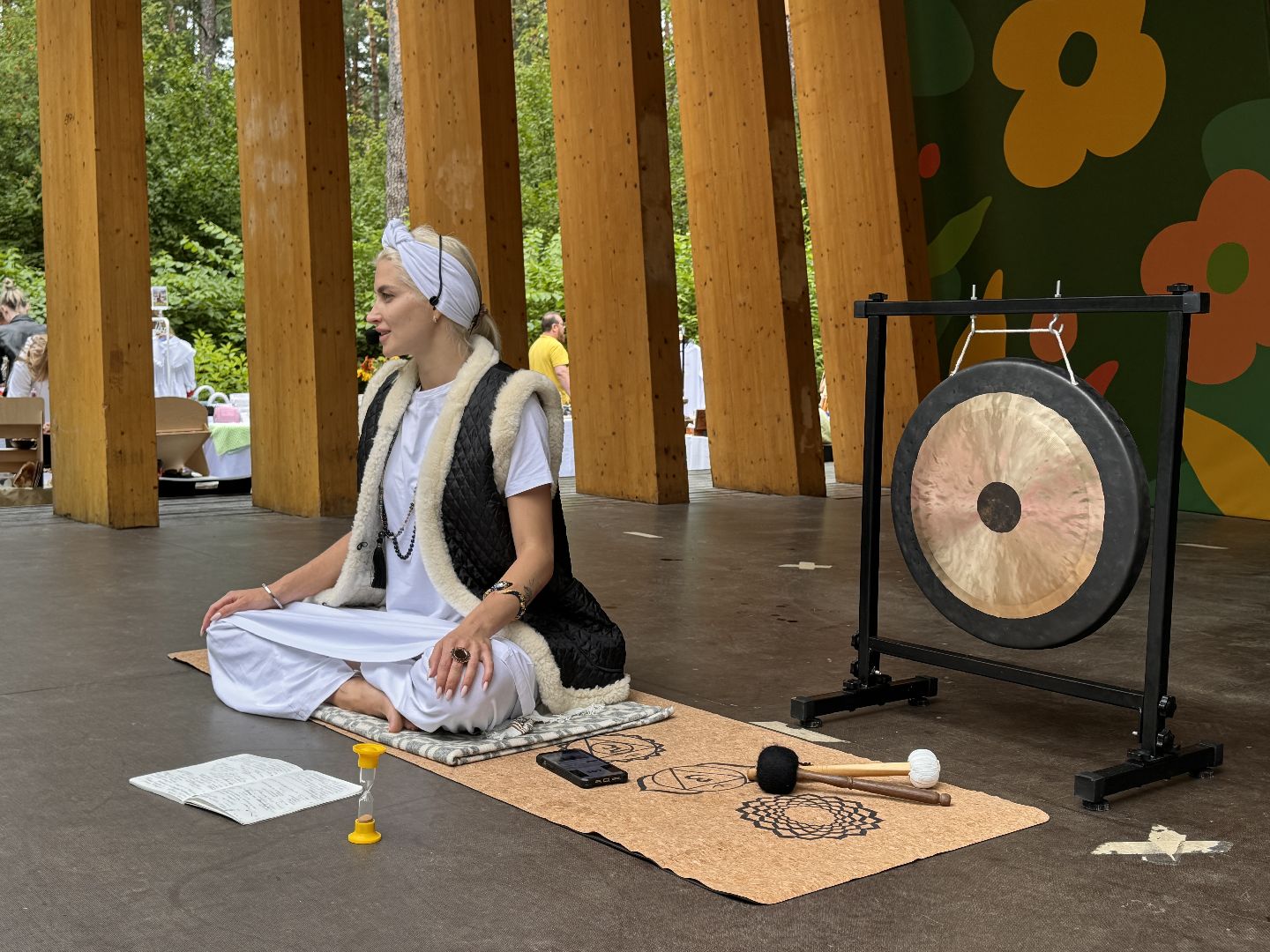 Фестиваль йоги, Парк Раздолье, Гвоздестояние,