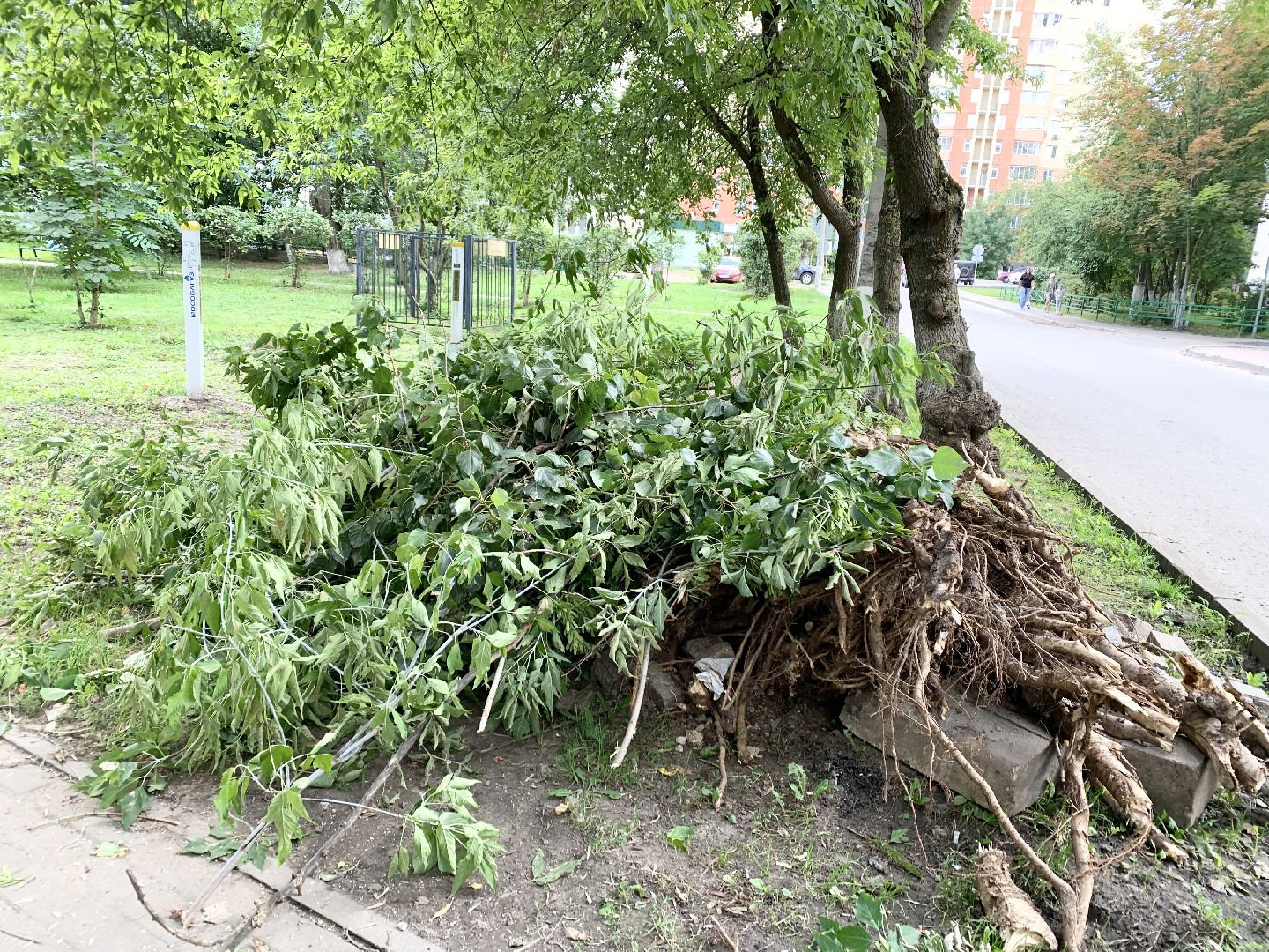 Балашиха, Подмосковье, Дороги, пешеходная разметка,