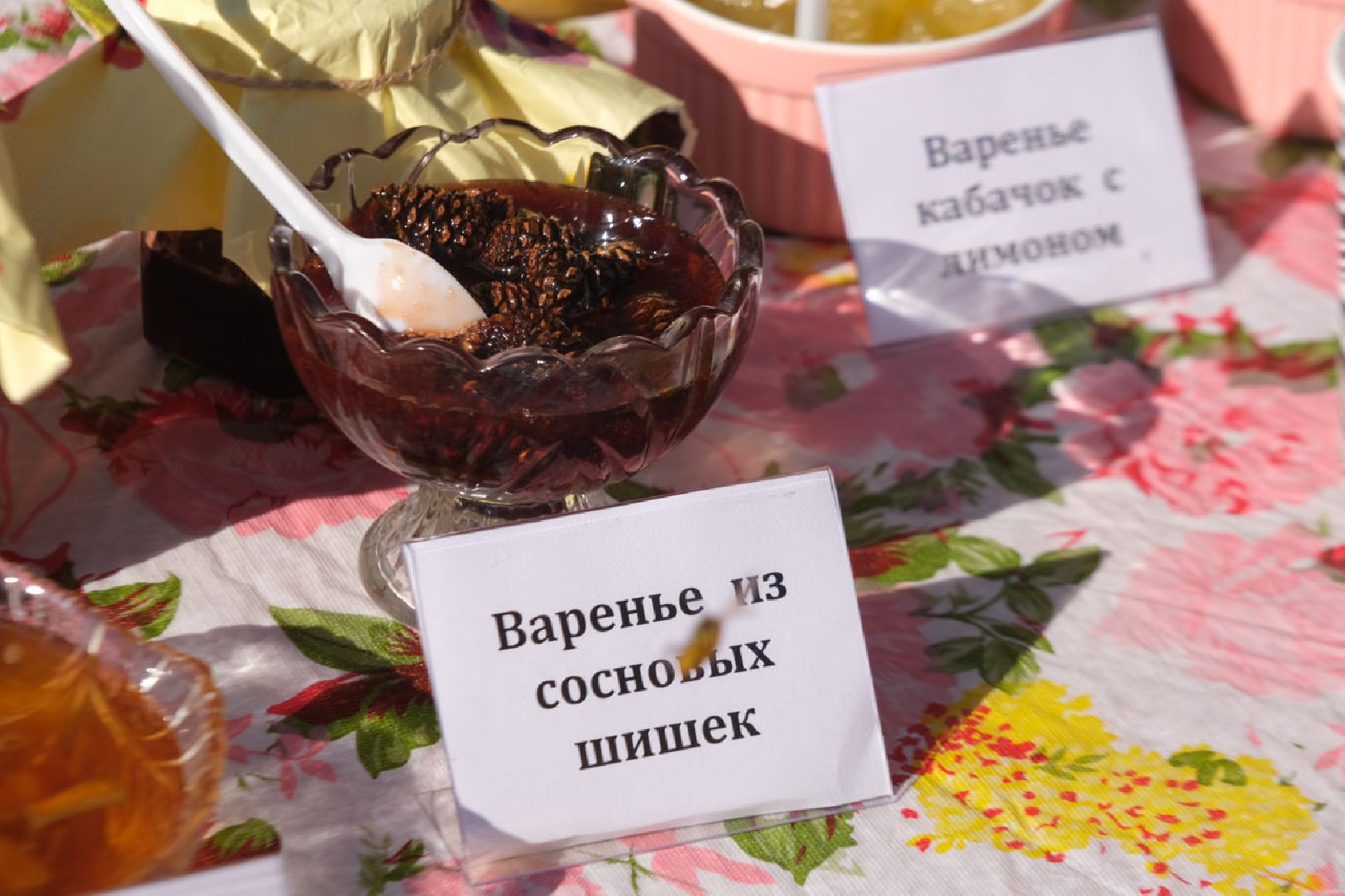 серпухов, день деревни, праздник,