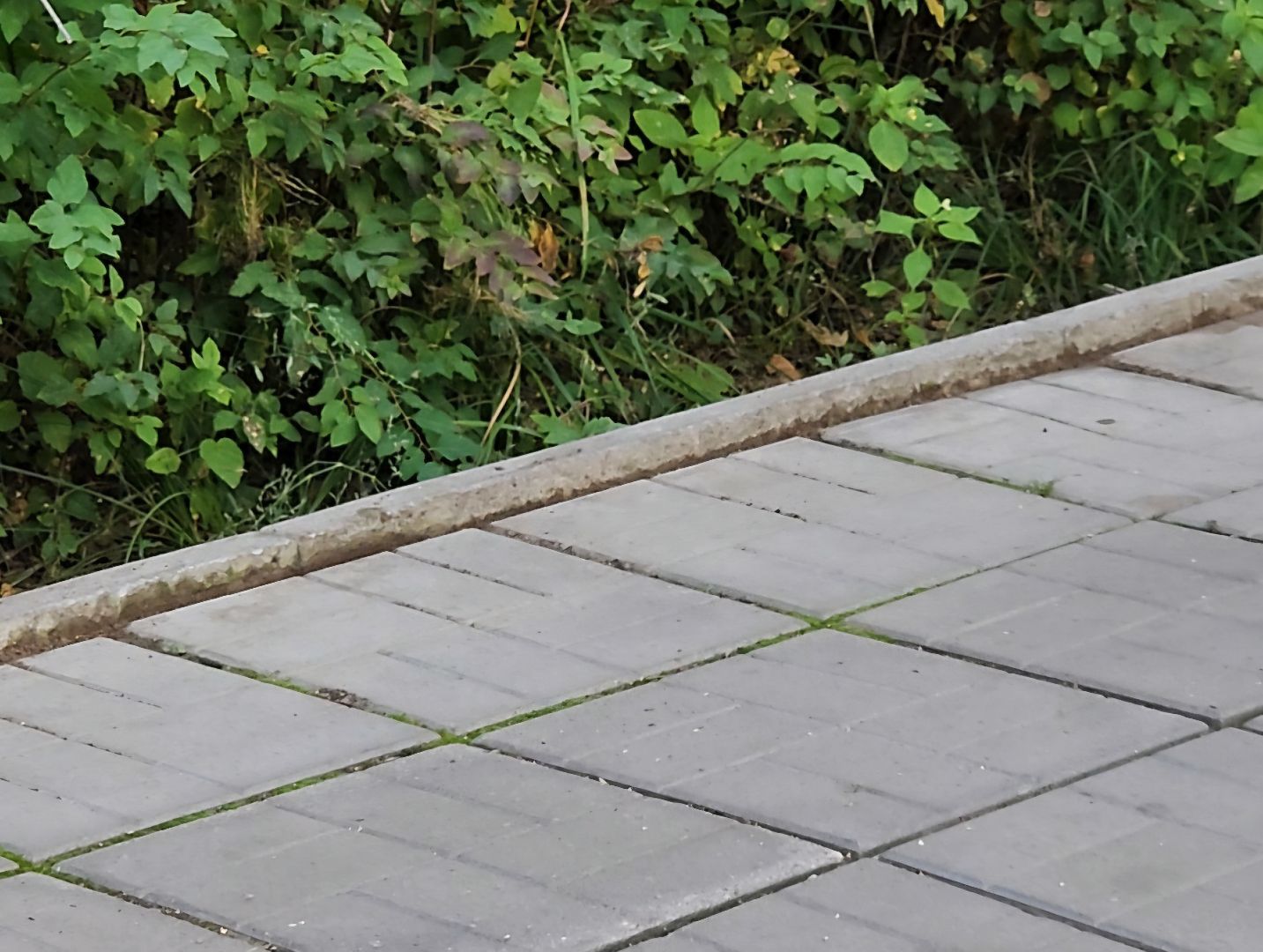 Дубна, ЖКХ, Благоустройство, Коммунальные службы,