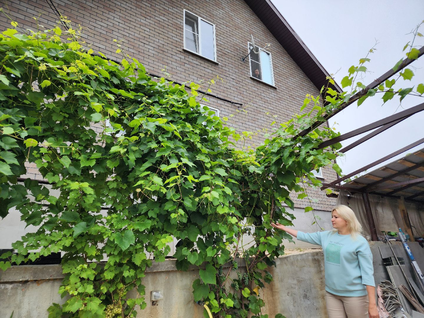 Чехов, село Новый быт, школа, учитель биологии, Вера Чепухалина, региональный конкурс, лауреат, победители, премия губернатора Московской области,