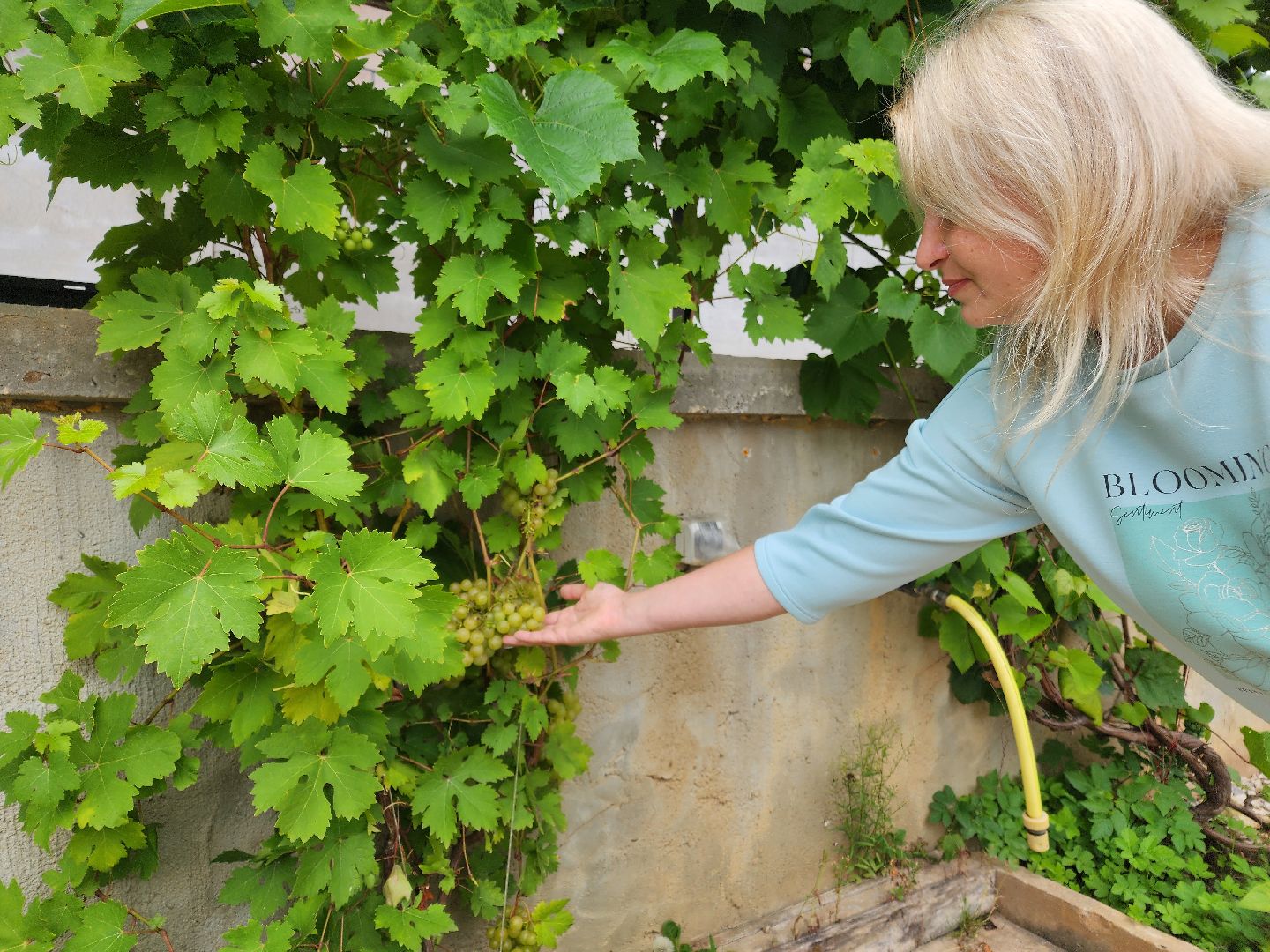 Чехов, село Новый быт, школа, учитель биологии, Вера Чепухалина, региональный конкурс, лауреат, победители, премия губернатора Московской области,