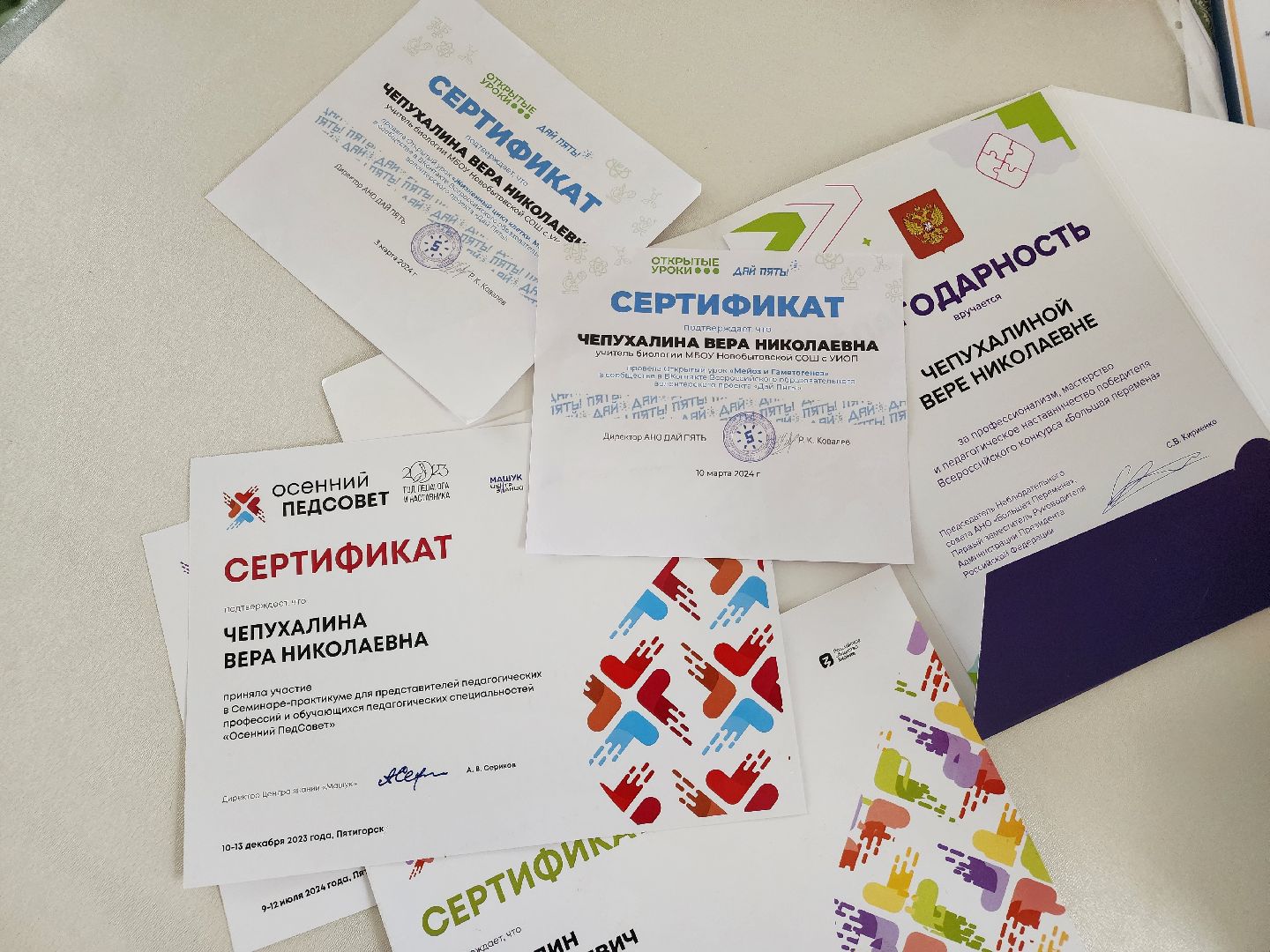 Чехов, село Новый быт, школа, учитель биологии, Вера Чепухалина, региональный конкурс, лауреат, победители, премия губернатора Московской области,