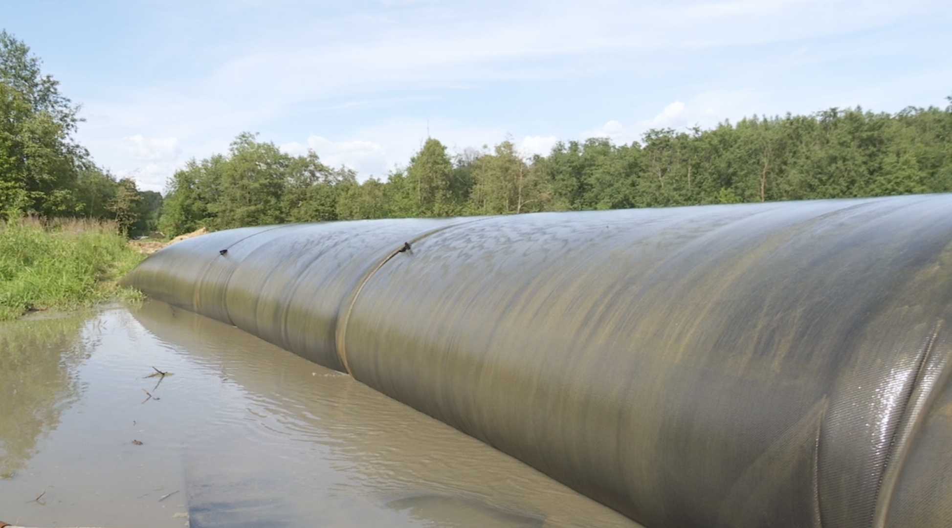 Клин, общество, экология, реки, очистка реки, Подмосковье,