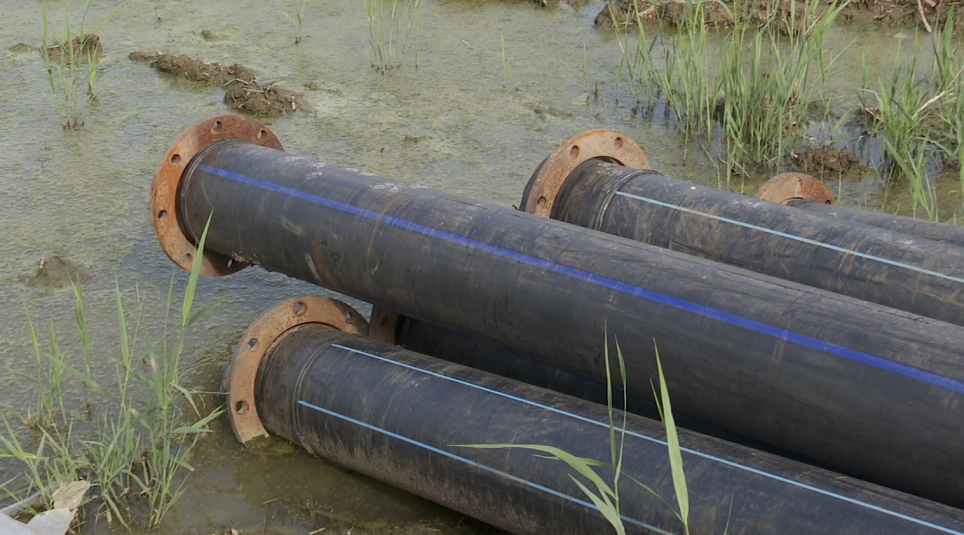 Клин, общество, экология, реки, очистка реки, Подмосковье,