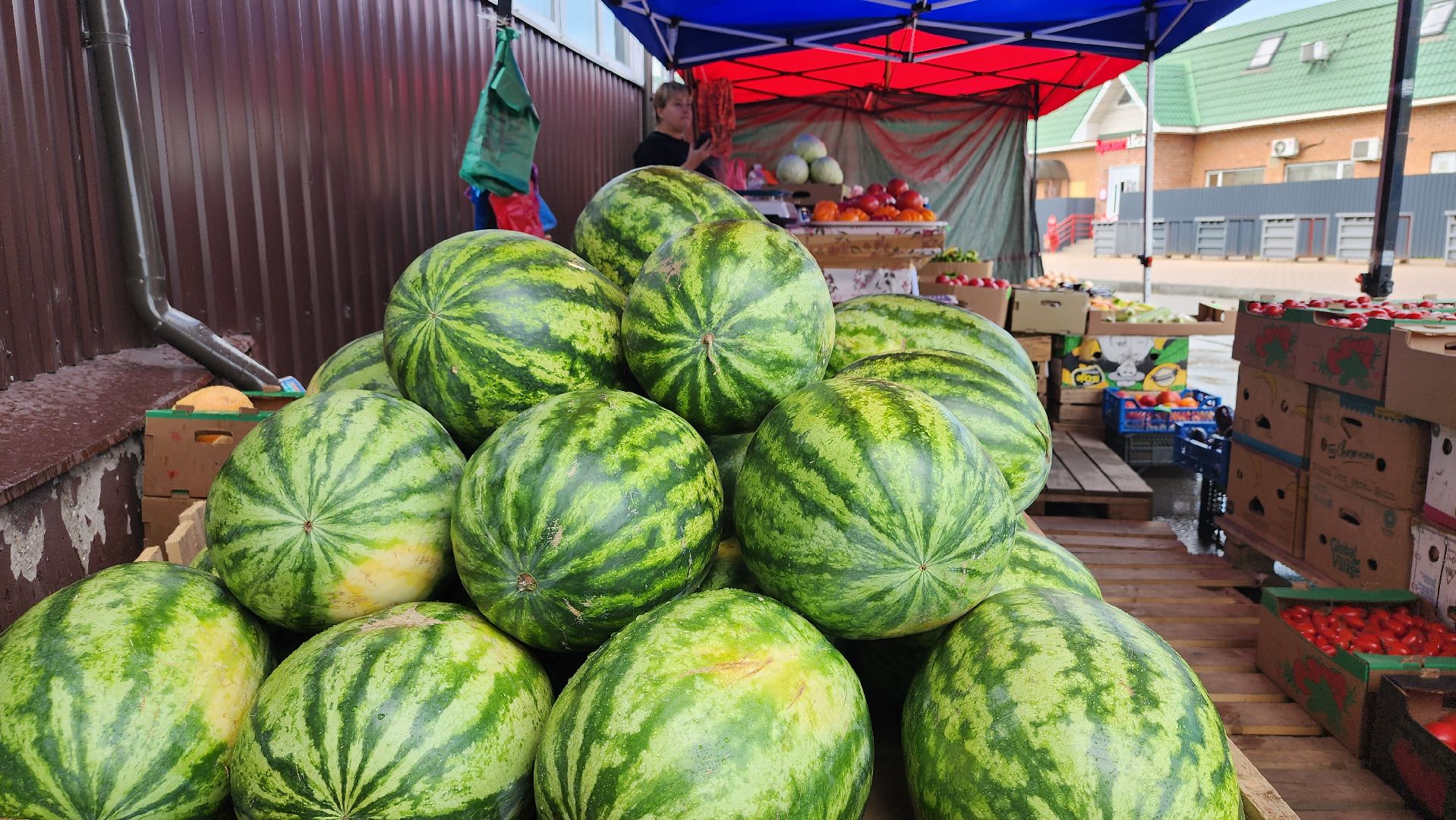 сезон арбузов, сезон бахчевых, арбузы, Ногинск, Богородский городской округ,