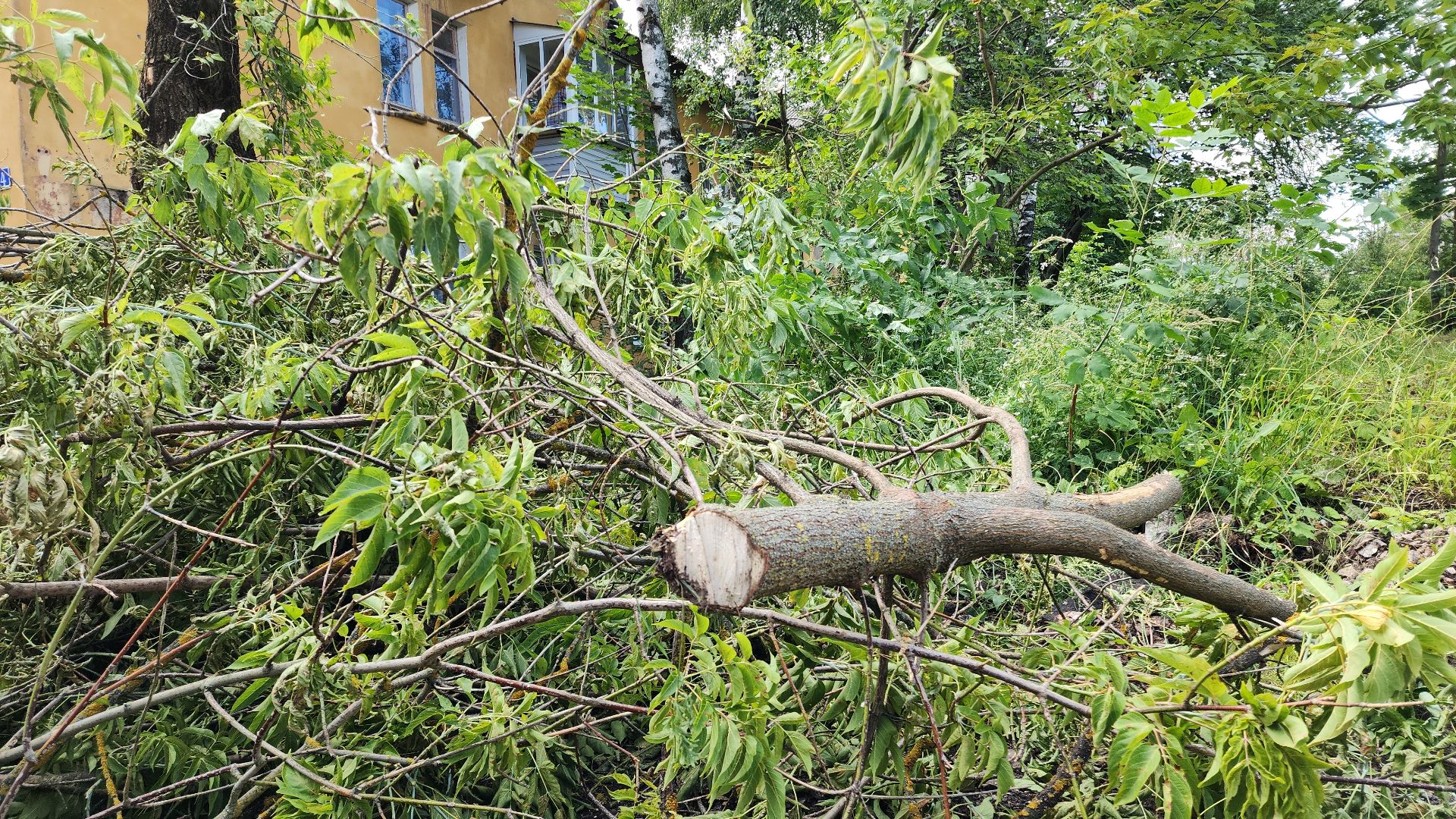 жкх, жкх и благоустройство, благоустройство 2024, благоустройство дворов, благоустройство двора, благоустройство дворов в подмосковье, электросталь,