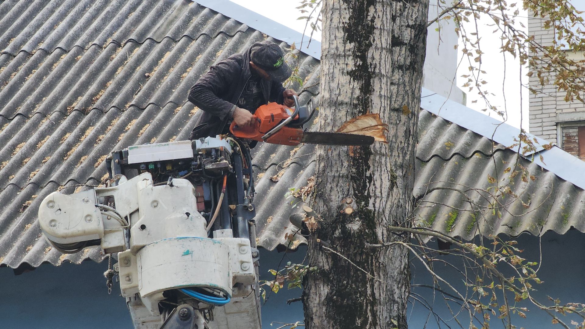 жкх, жкх и благоустройство, благоустройство 2024, благоустройство дворов, благоустройство двора, благоустройство дворов в подмосковье, электросталь,