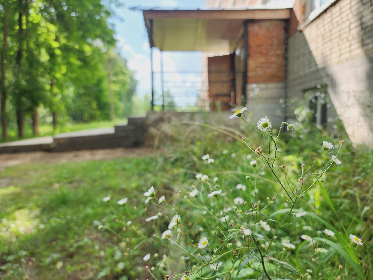 Егорьевск, Подмосковье, Московская область, Крыльцо, мкд,