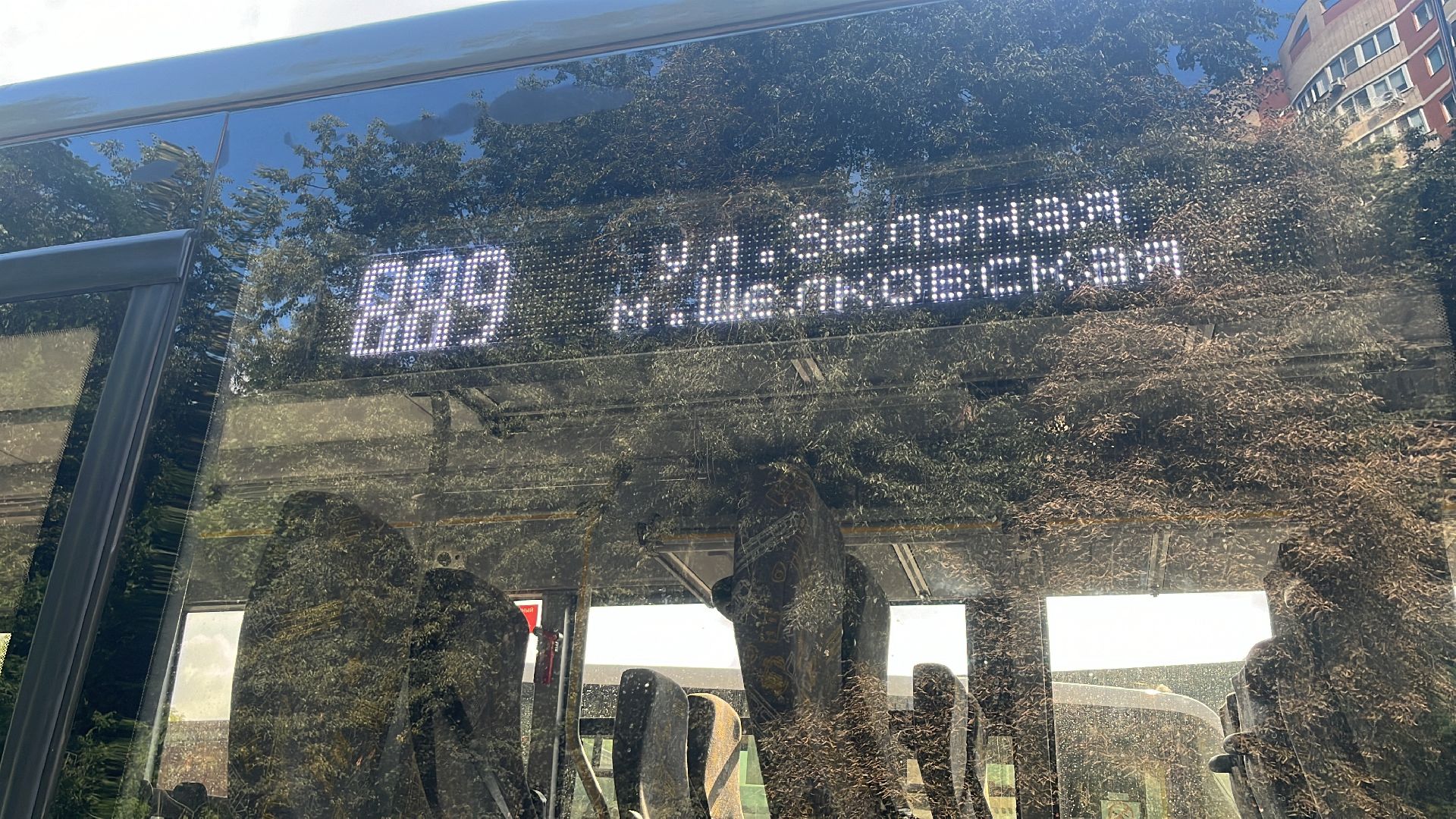 автобус, новый автобус, транспорт, общественный транспорт,