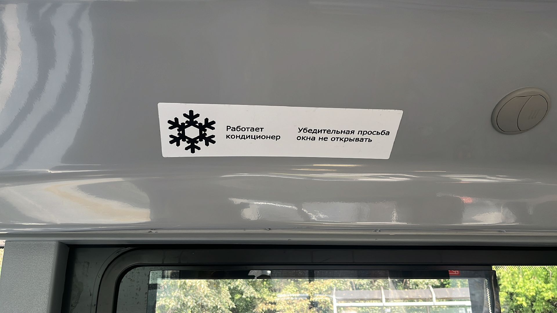 автобус, новый автобус, транспорт, общественный транспорт,