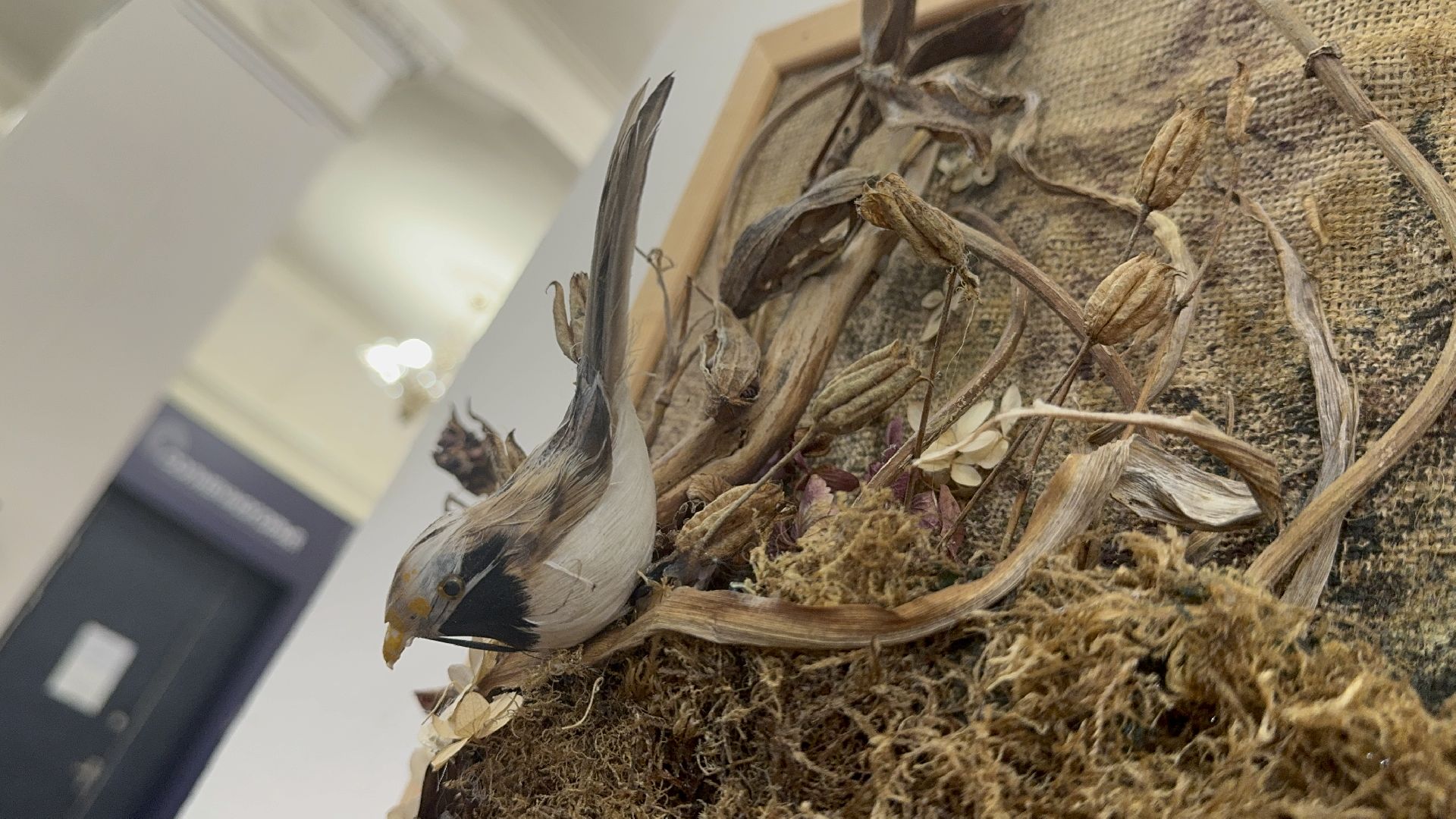 Солнечногорск, Творчество, Жители, выставка