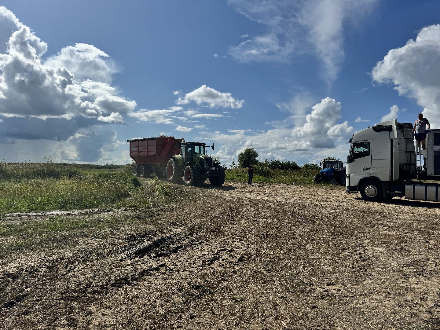 шаховская, уборка урожая, уборка полей,