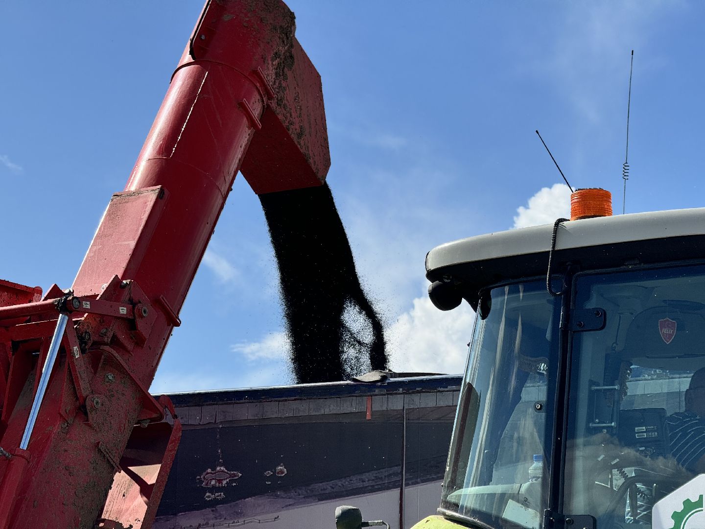 шаховская, уборка урожая, уборка полей,