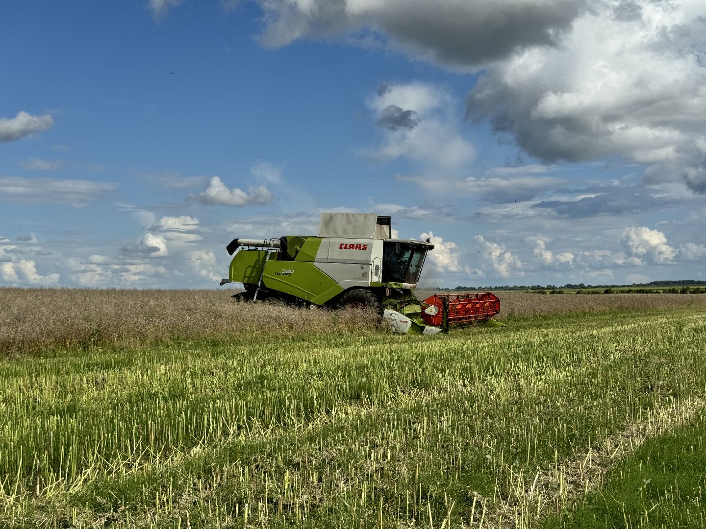 шаховская, уборка урожая, уборка полей,