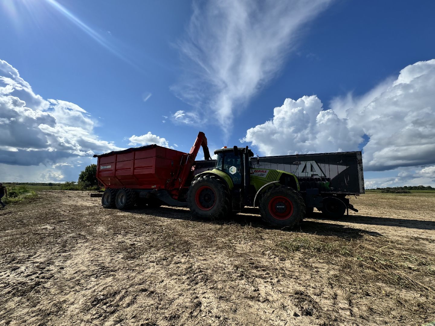 шаховская, уборка урожая, уборка полей,