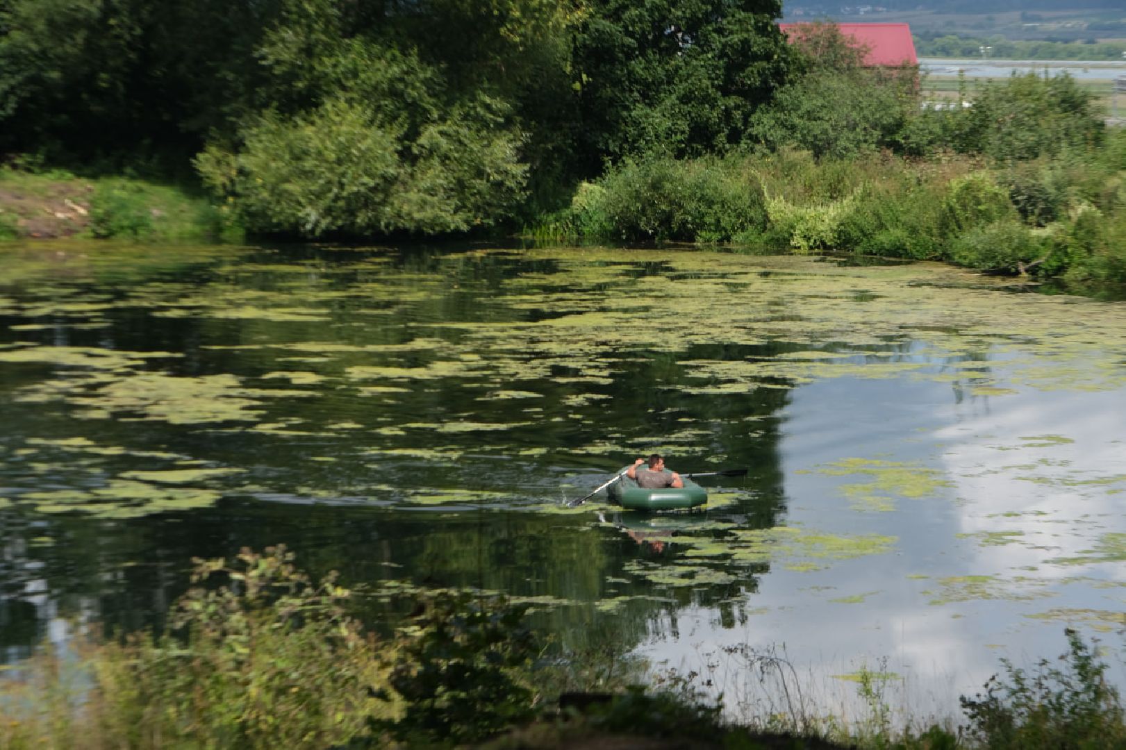 серпухов, липицы, расчистка пруда, экология,