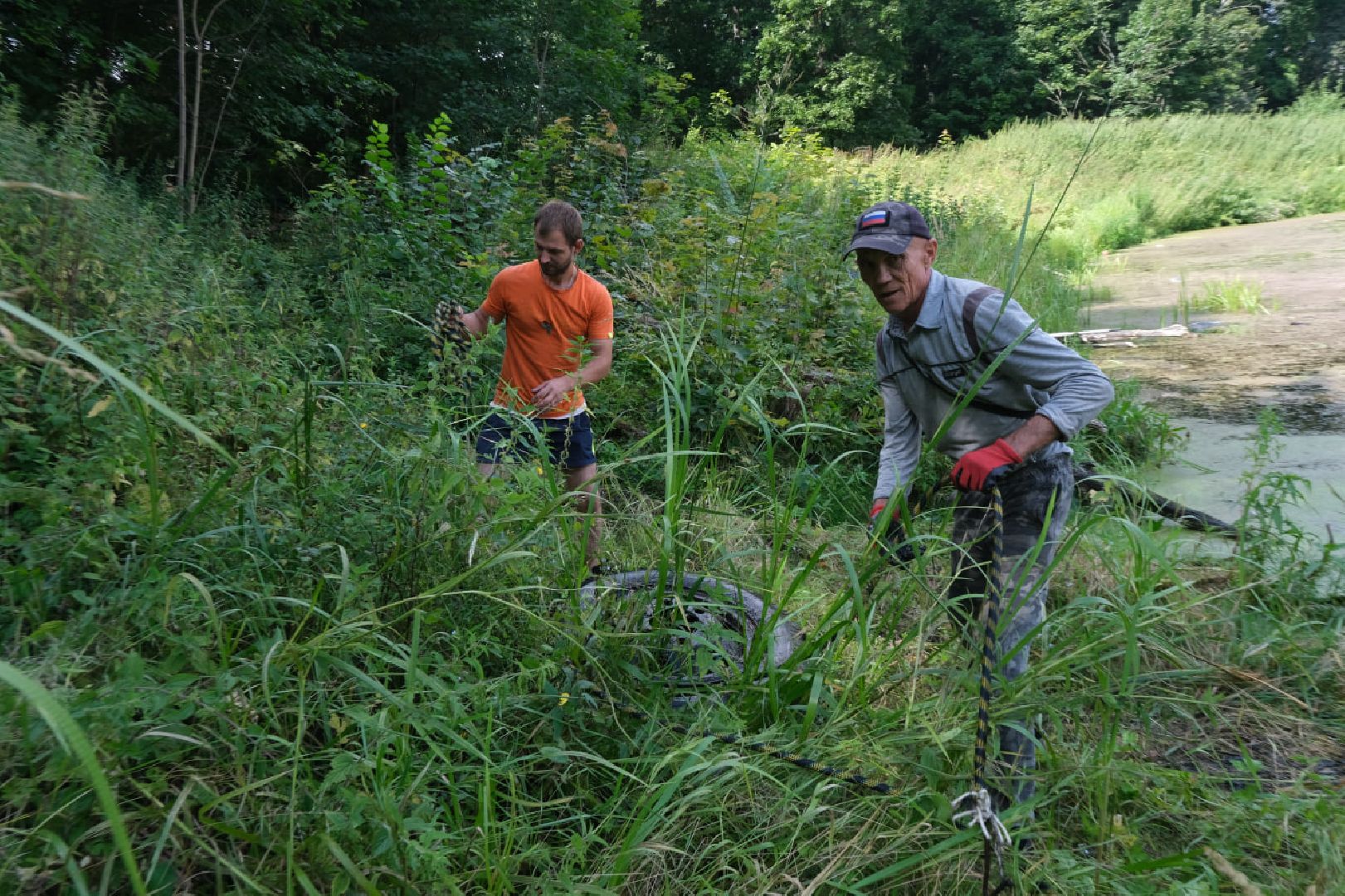 серпухов, липицы, расчистка пруда, экология,