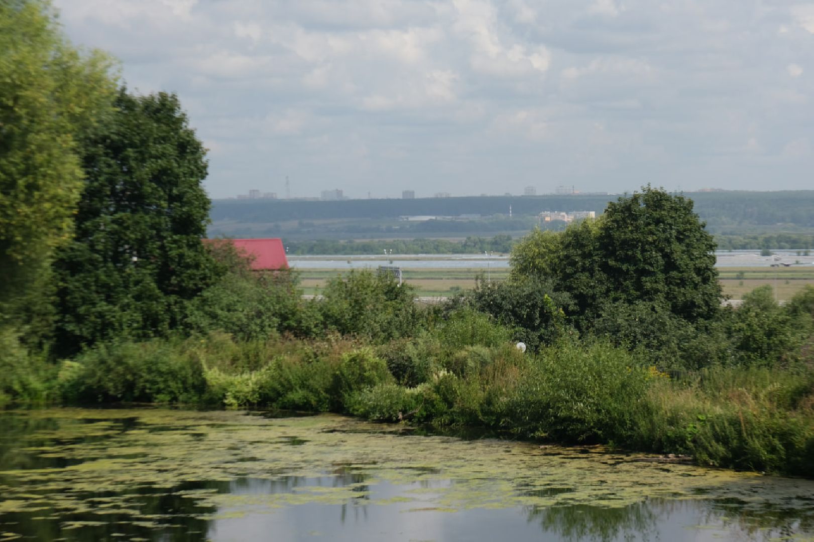 серпухов, липицы, расчистка пруда, экология,