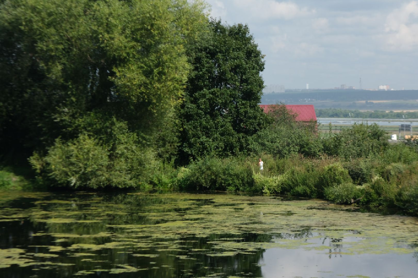 серпухов, липицы, расчистка пруда, экология,