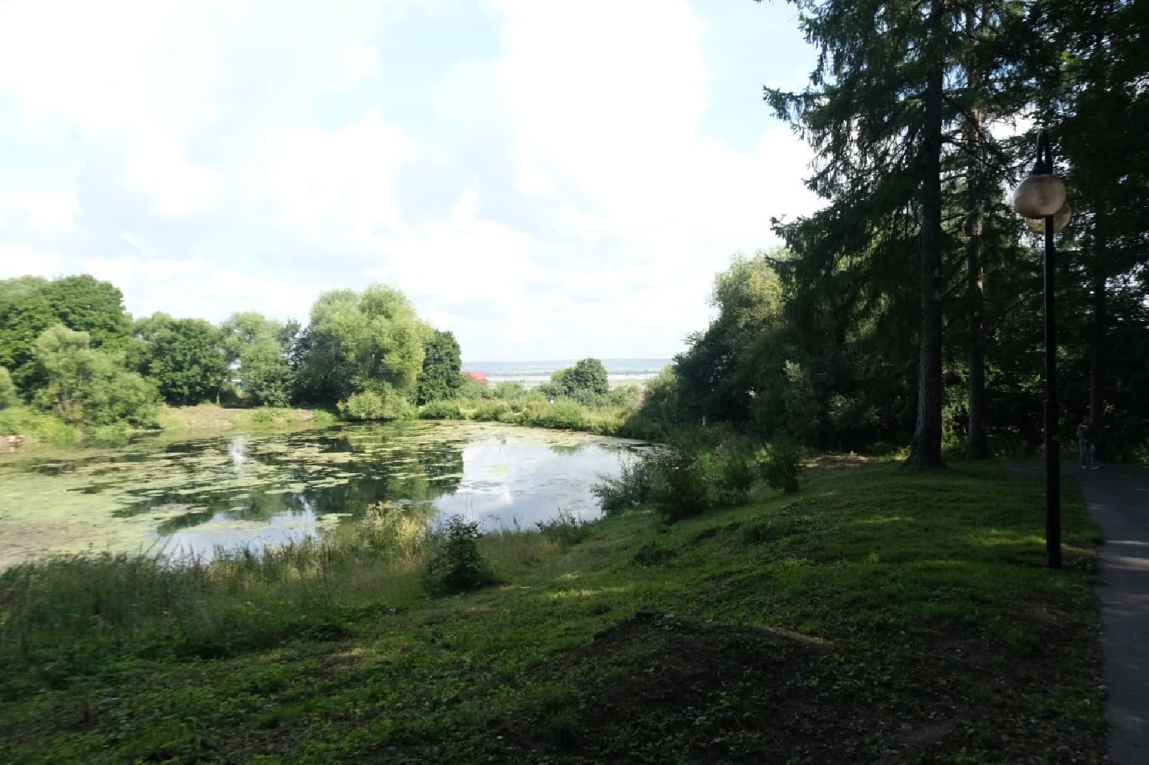 серпухов, липицы, расчистка пруда, экология,