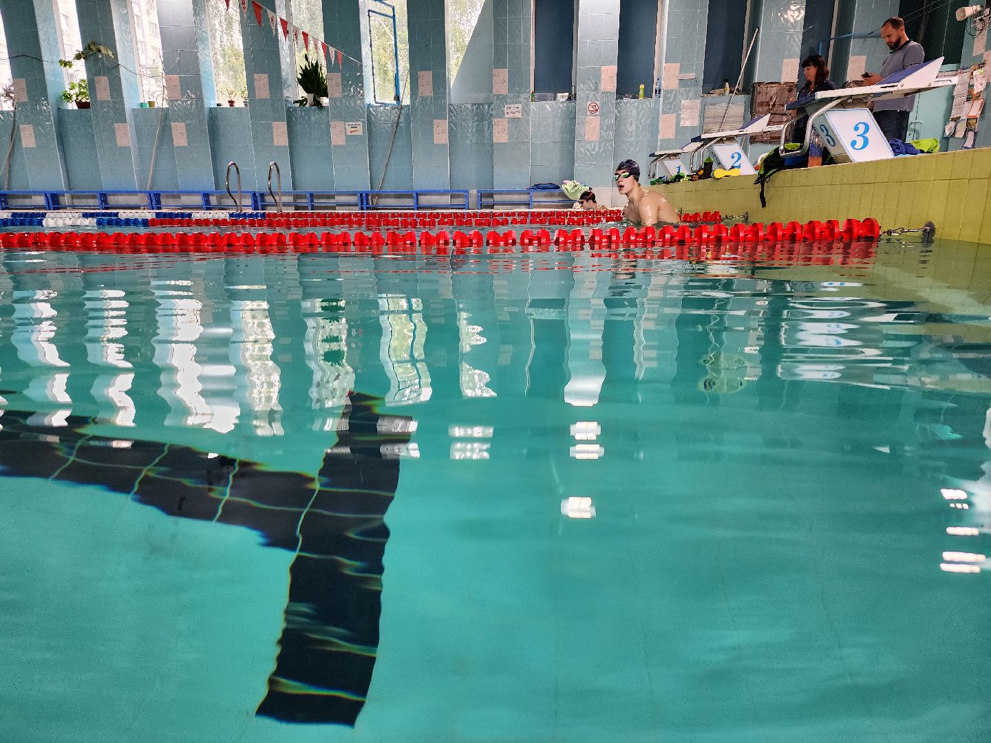 бассейн, бассейн видное, бассейн развилка, дельфин маудоц, ленинский округ, андрей шишин,