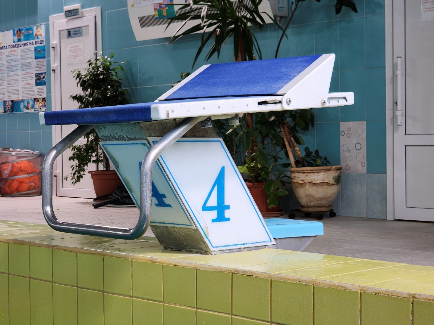 бассейн, бассейн видное, бассейн развилка, дельфин маудоц, ленинский округ, андрей шишин,