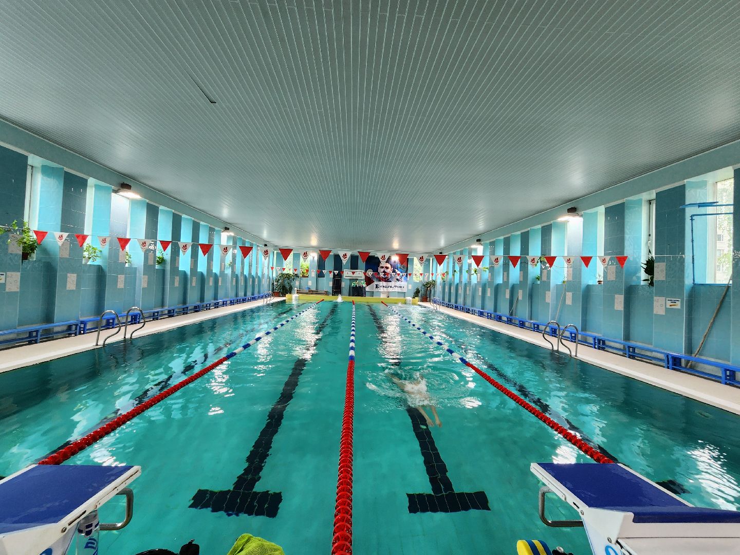 бассейн, бассейн видное, бассейн развилка, дельфин маудоц, ленинский округ, андрей шишин,