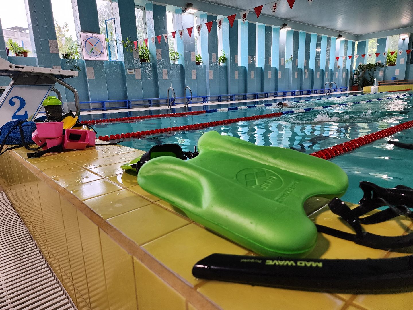 бассейн, бассейн видное, бассейн развилка, дельфин маудоц, ленинский округ, андрей шишин,