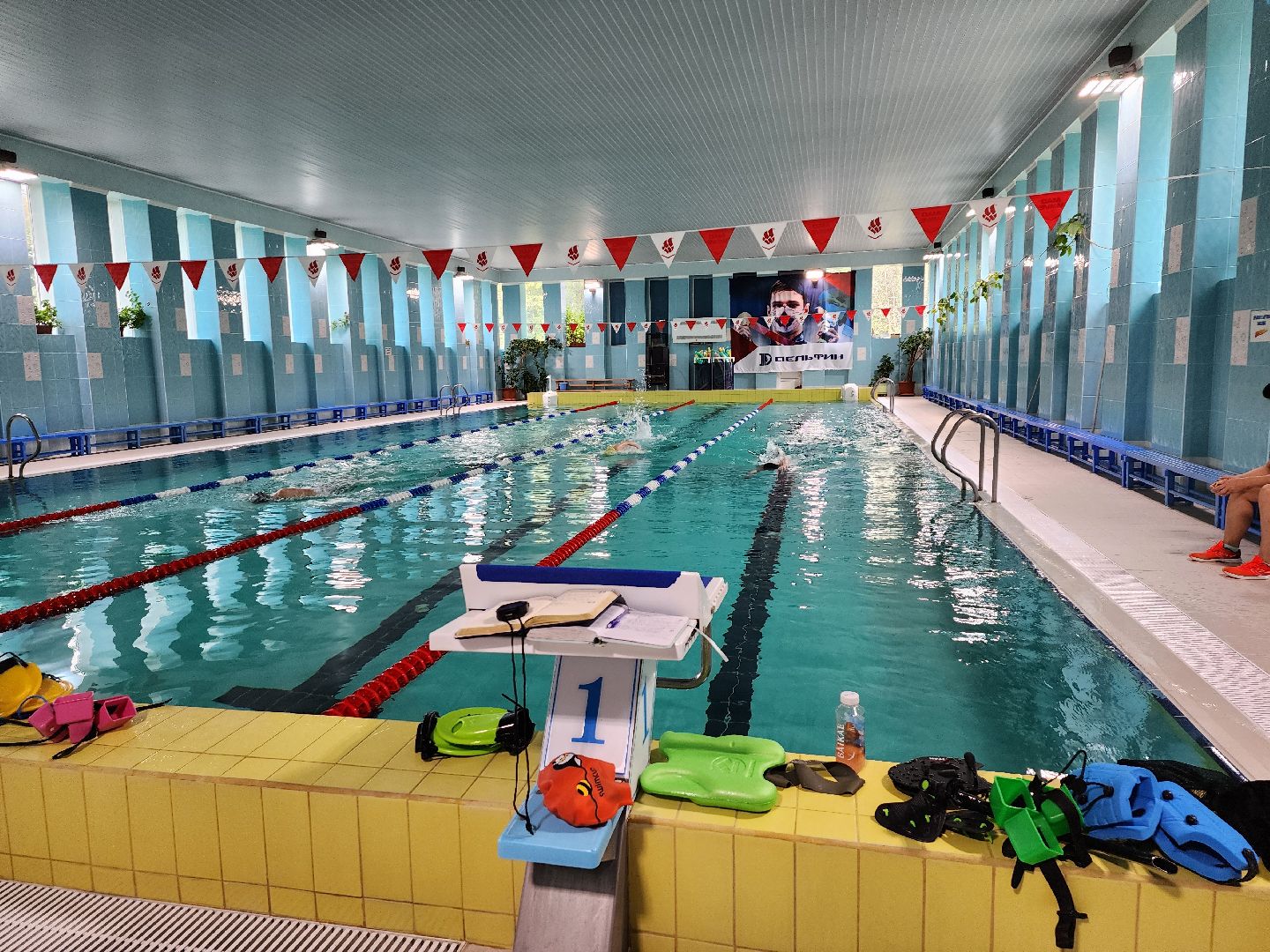 бассейн, бассейн видное, бассейн развилка, дельфин маудоц, ленинский округ, андрей шишин,