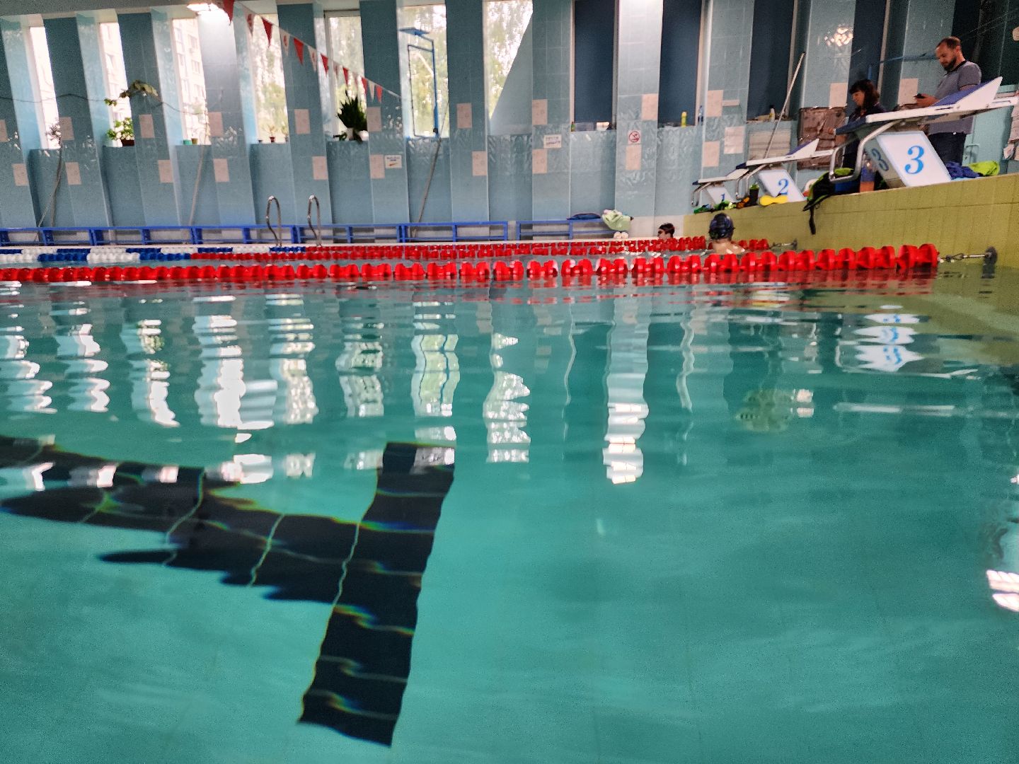 бассейн, бассейн видное, бассейн развилка, дельфин маудоц, ленинский округ, андрей шишин,