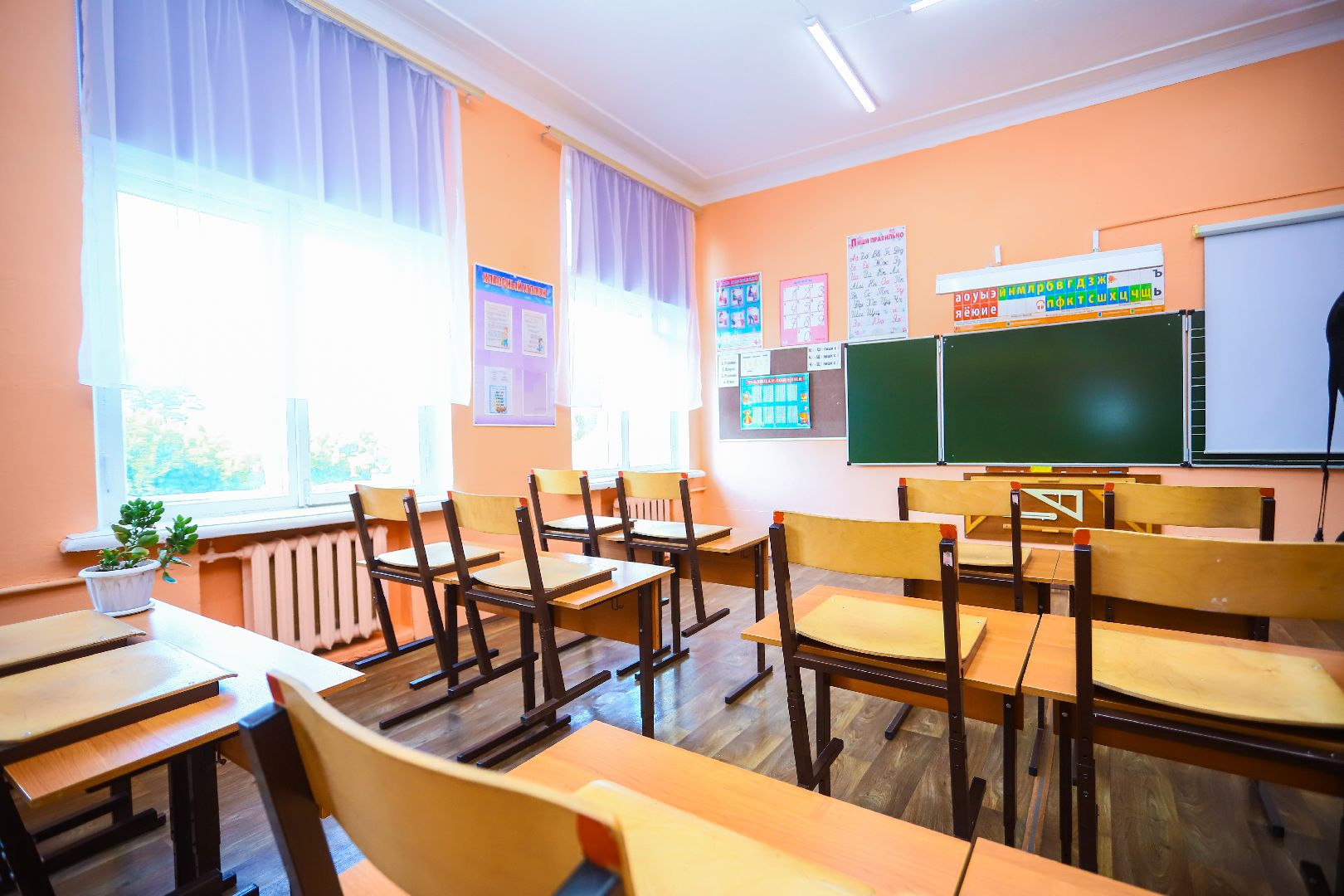 Радовицкий, школа, Большая Шатура, диалог с властью,образование,