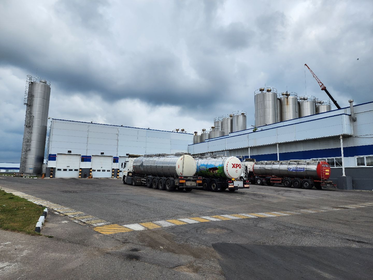 Чехов, поселок Любучаны, молочный завод, молочное производство, импортозамещение, локализация, международные бренды, молочные продукты, компания Health and Nutrition,