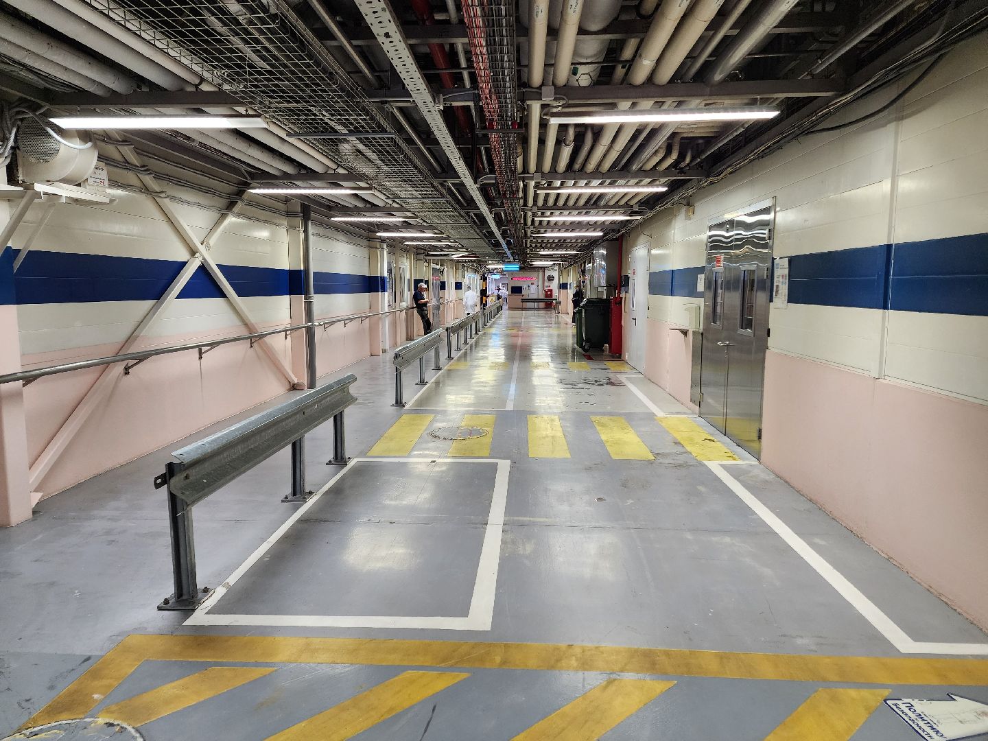 Чехов, поселок Любучаны, молочный завод, молочное производство, импортозамещение, локализация, международные бренды, молочные продукты, компания Health and Nutrition,