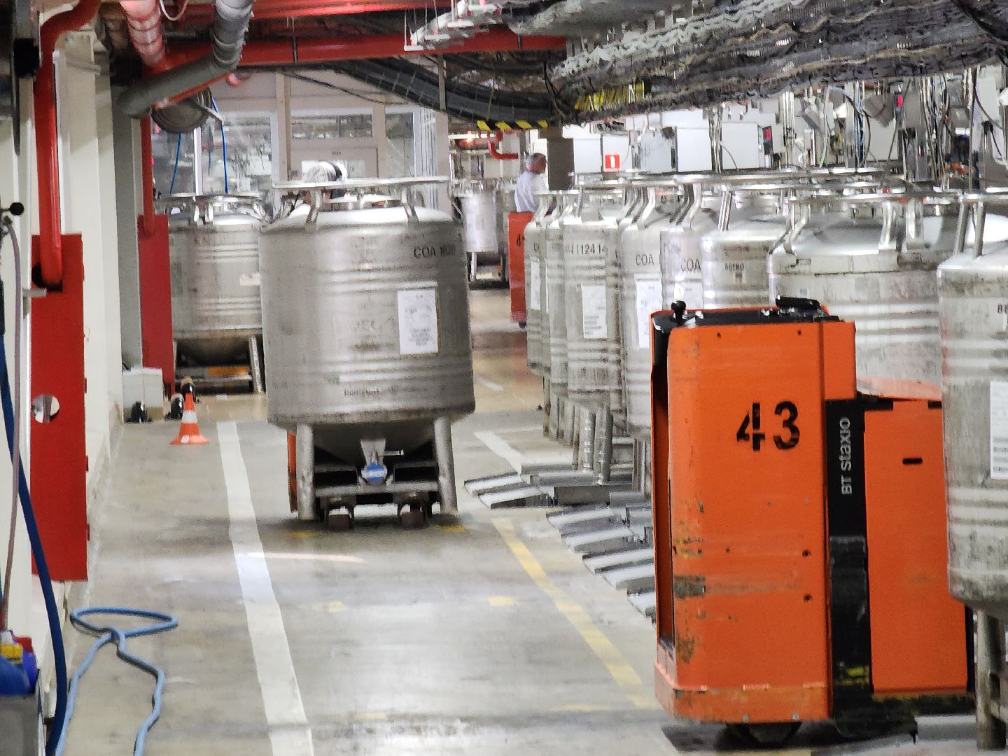 Чехов, поселок Любучаны, молочный завод, молочное производство, импортозамещение, локализация, международные бренды, молочные продукты, компания Health and Nutrition,