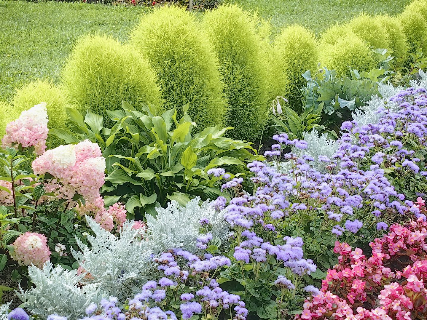 бригада, трудовое лето, благоустровйство, цветники, полив, звездный городок,