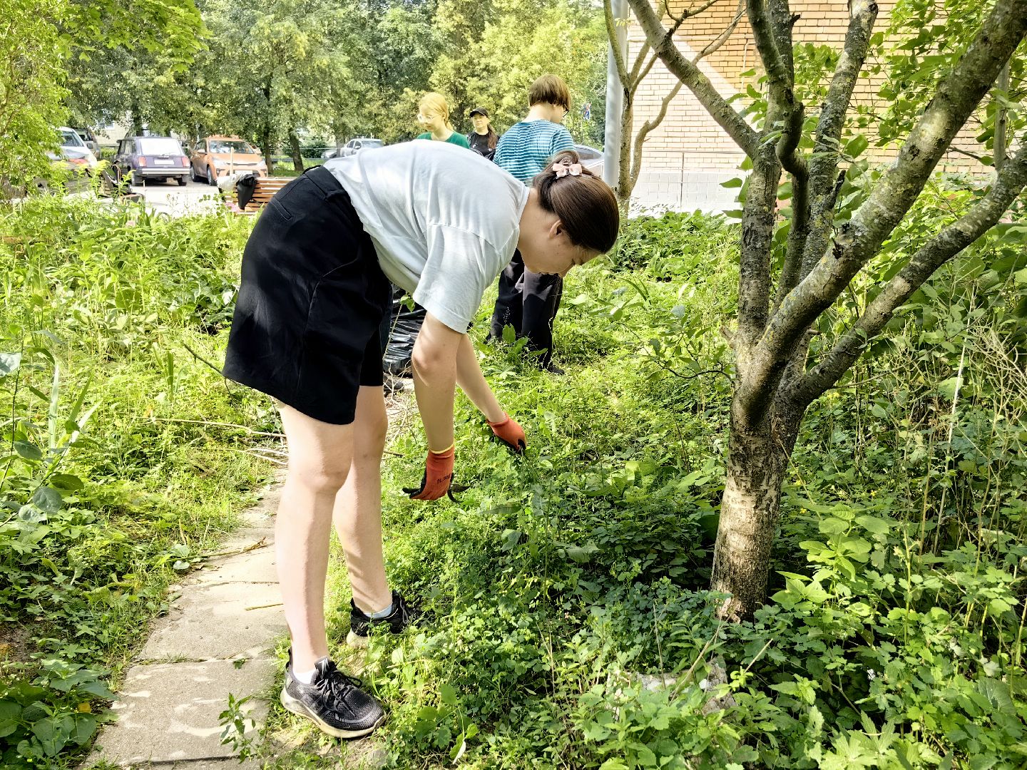 бригада, трудовое лето, благоустровйство, цветники, полив, звездный городок,