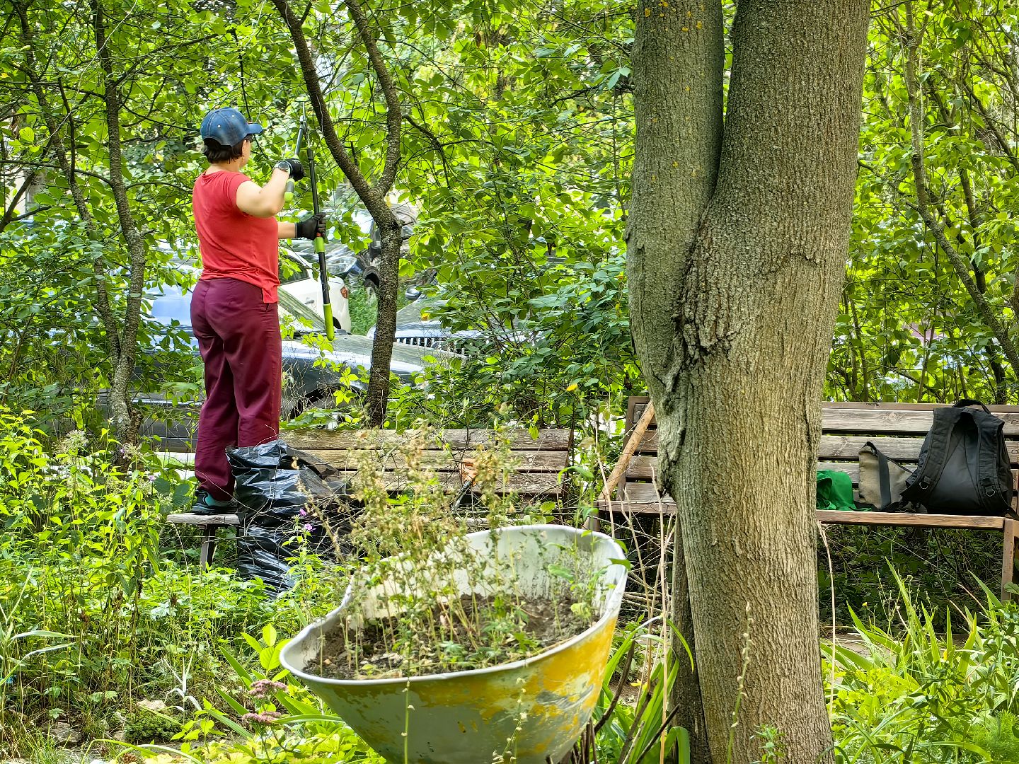 бригада, трудовое лето, благоустровйство, цветники, полив, звездный городок,