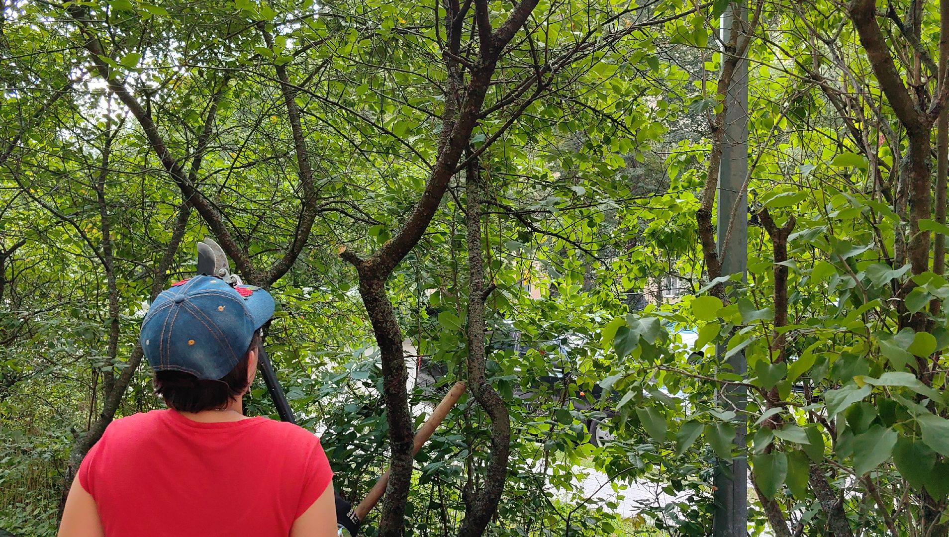 бригада, трудовое лето, благоустровйство, цветники, полив, звездный городок,