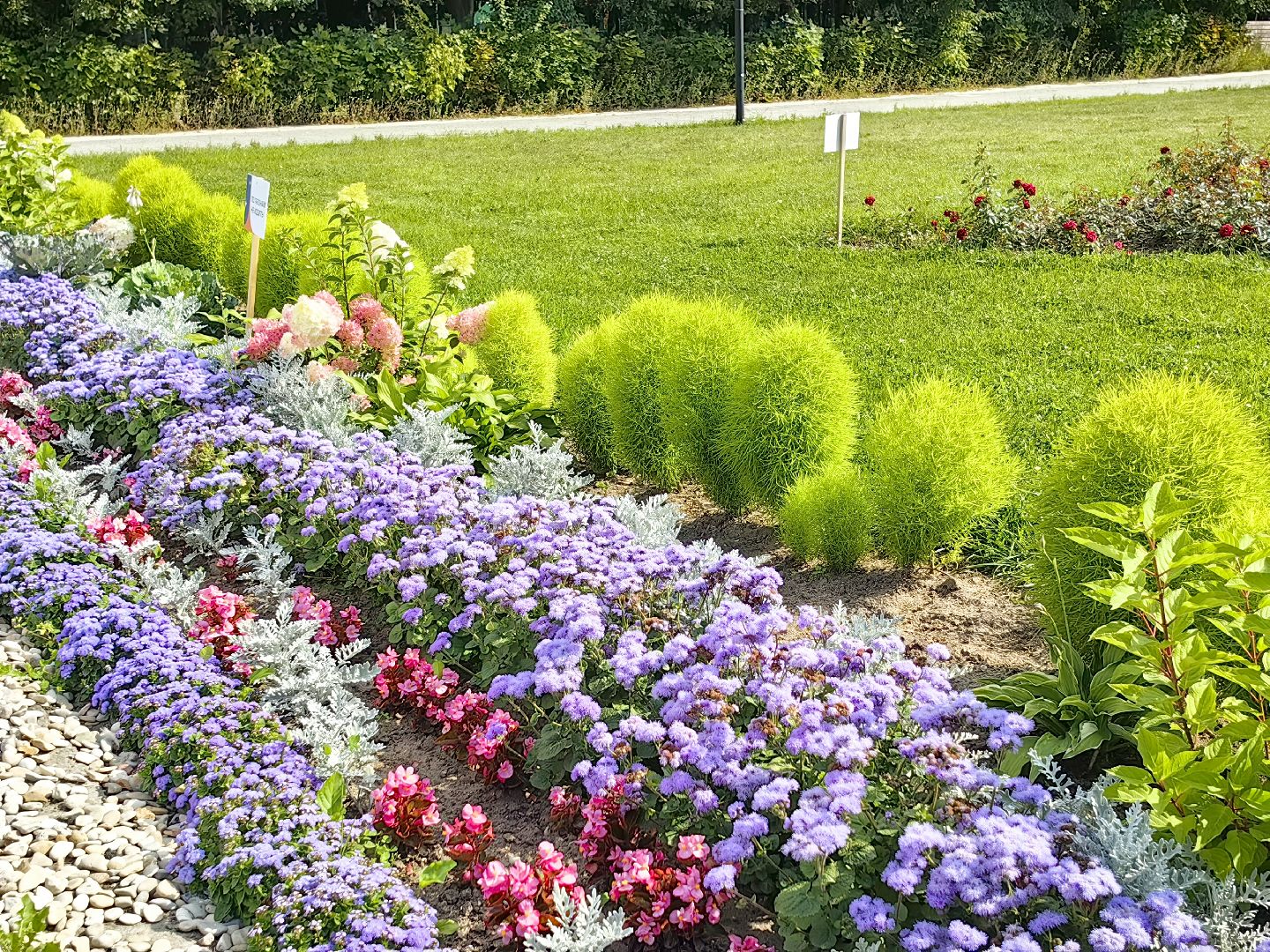 бригада, трудовое лето, благоустровйство, цветники, полив, звездный городок,