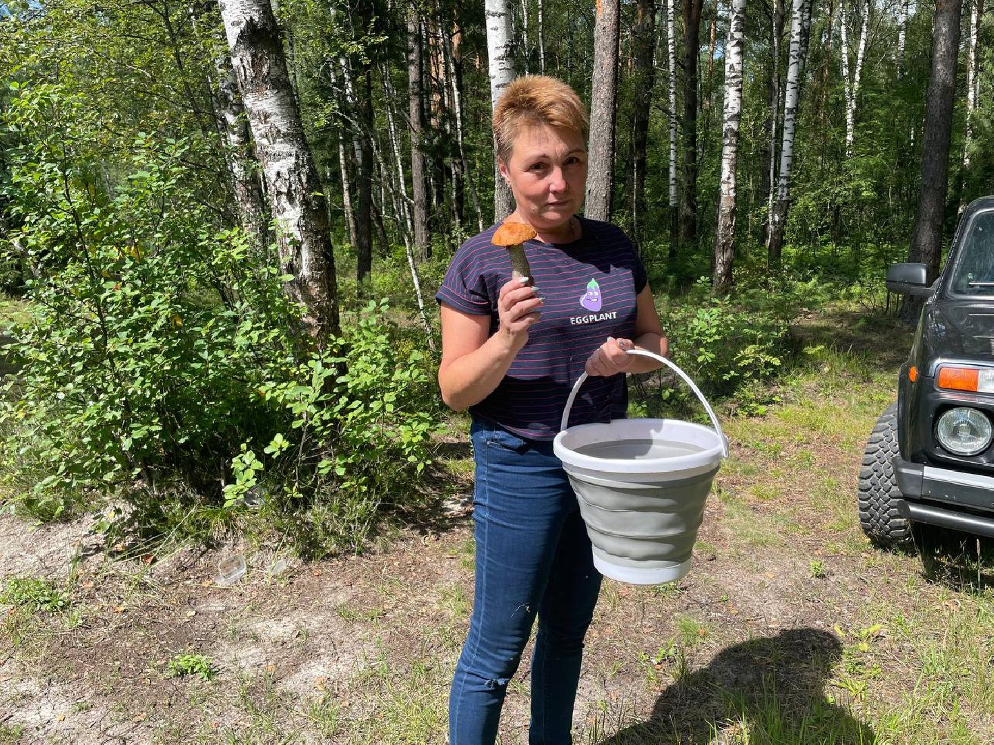 Черноголовка, грибы в лесу, Грибник, природа,