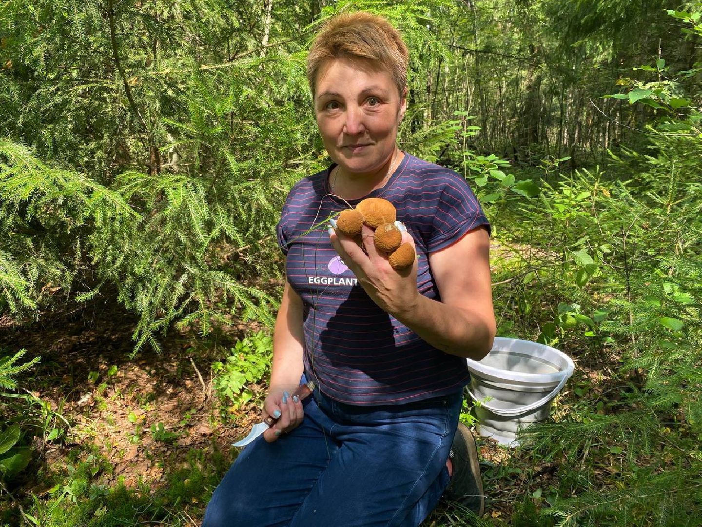 Черноголовка, грибы в лесу, Грибник, природа,