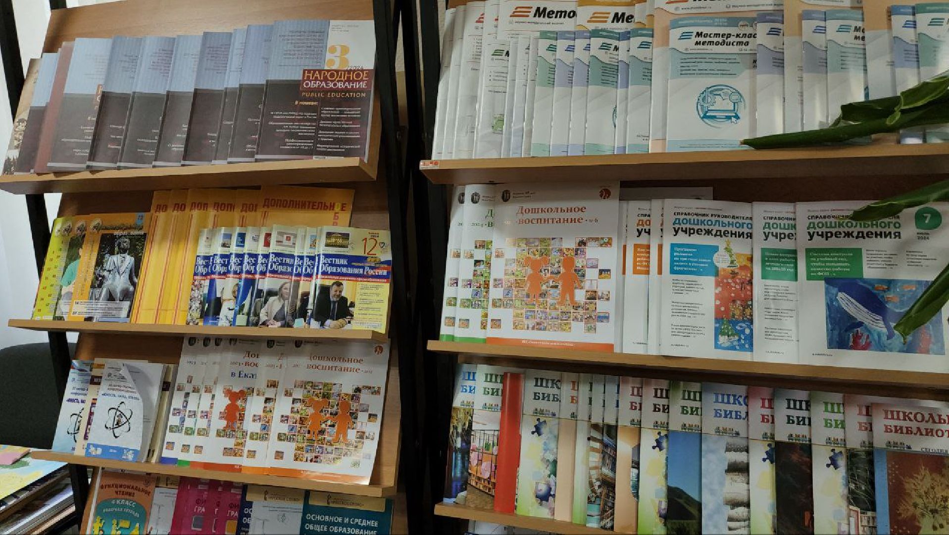 люберцы, учебники, школы, учебник истории,