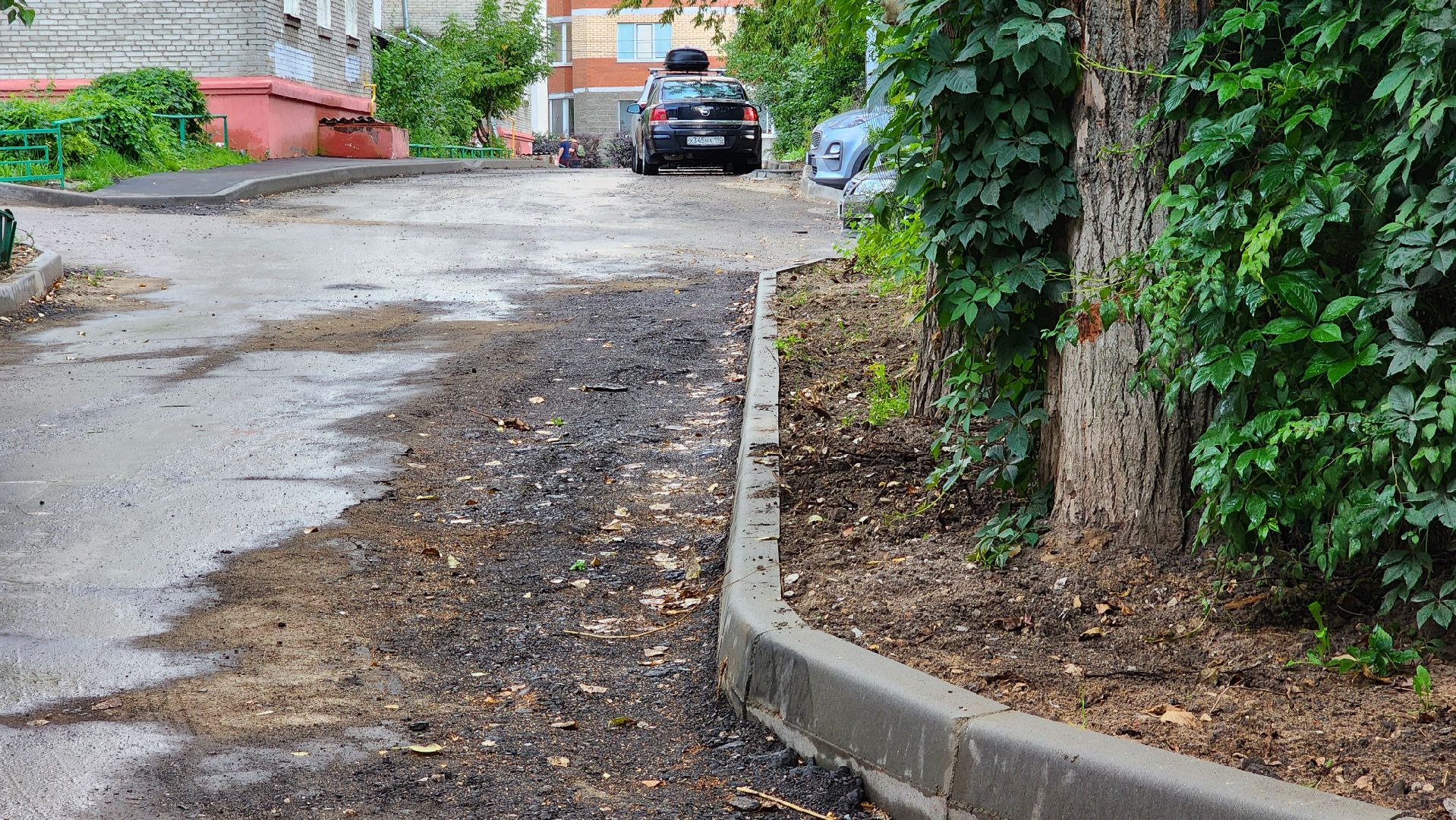 благоустройство дворовой территории, замена асфальта во дворе, пешеходные тропы,