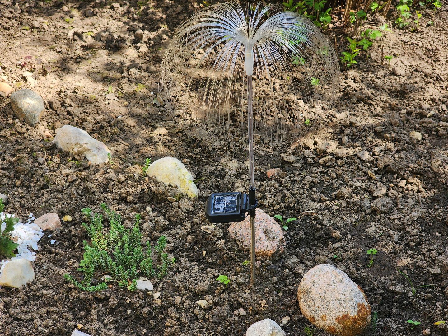 долгопрудный, конкурс по благоустройству, цветник, ландшафтный дизайн, хлебниково,