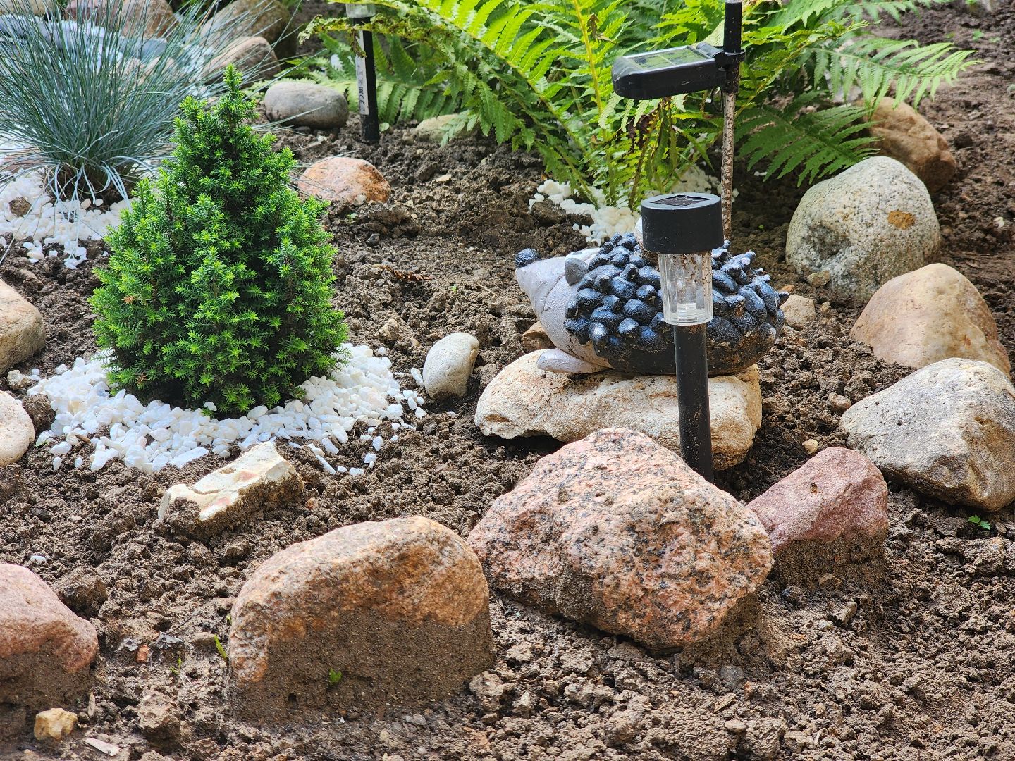 долгопрудный, конкурс по благоустройству, цветник, ландшафтный дизайн, хлебниково,