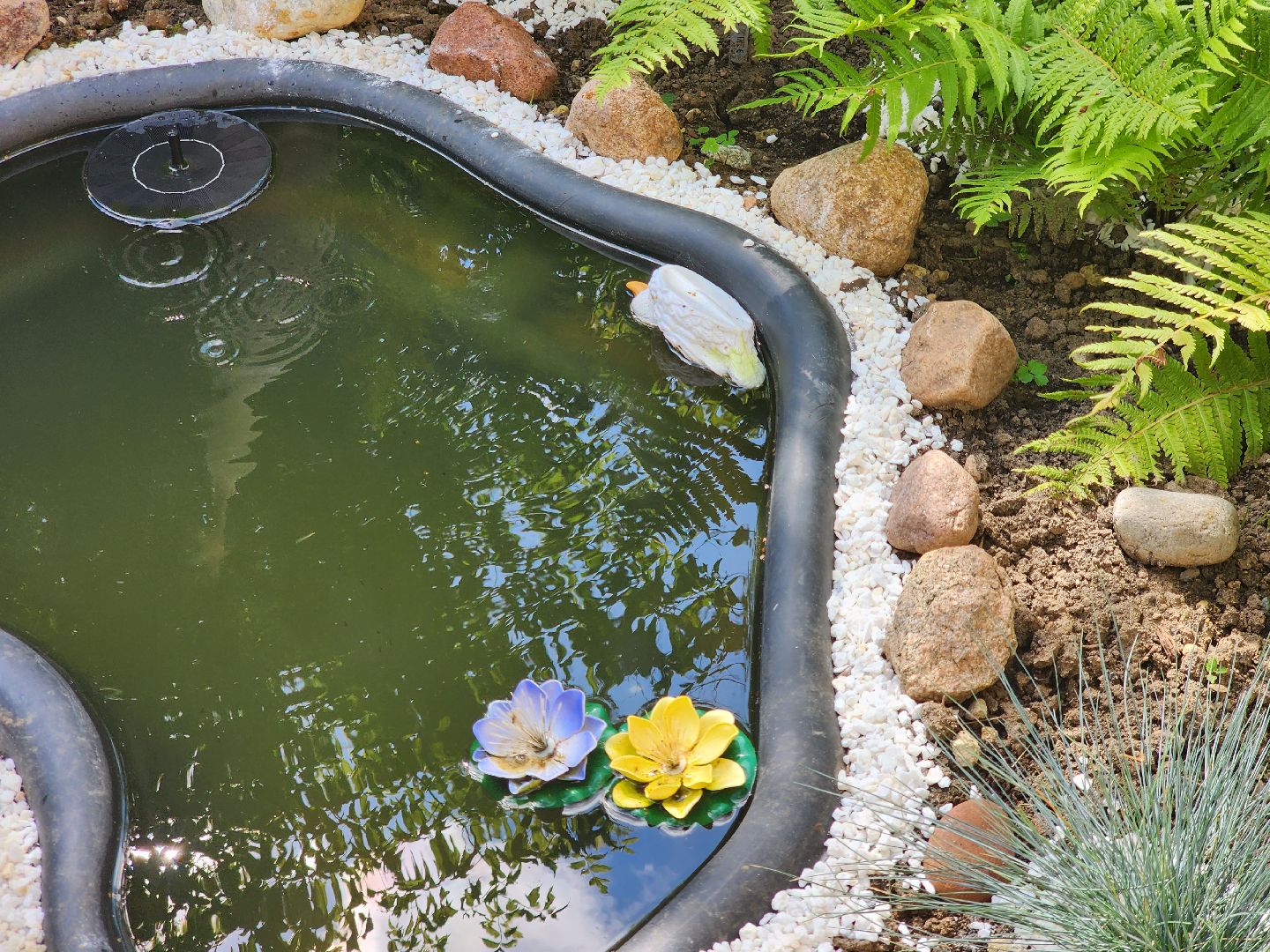 долгопрудный, конкурс по благоустройству, цветник, ландшафтный дизайн, хлебниково,